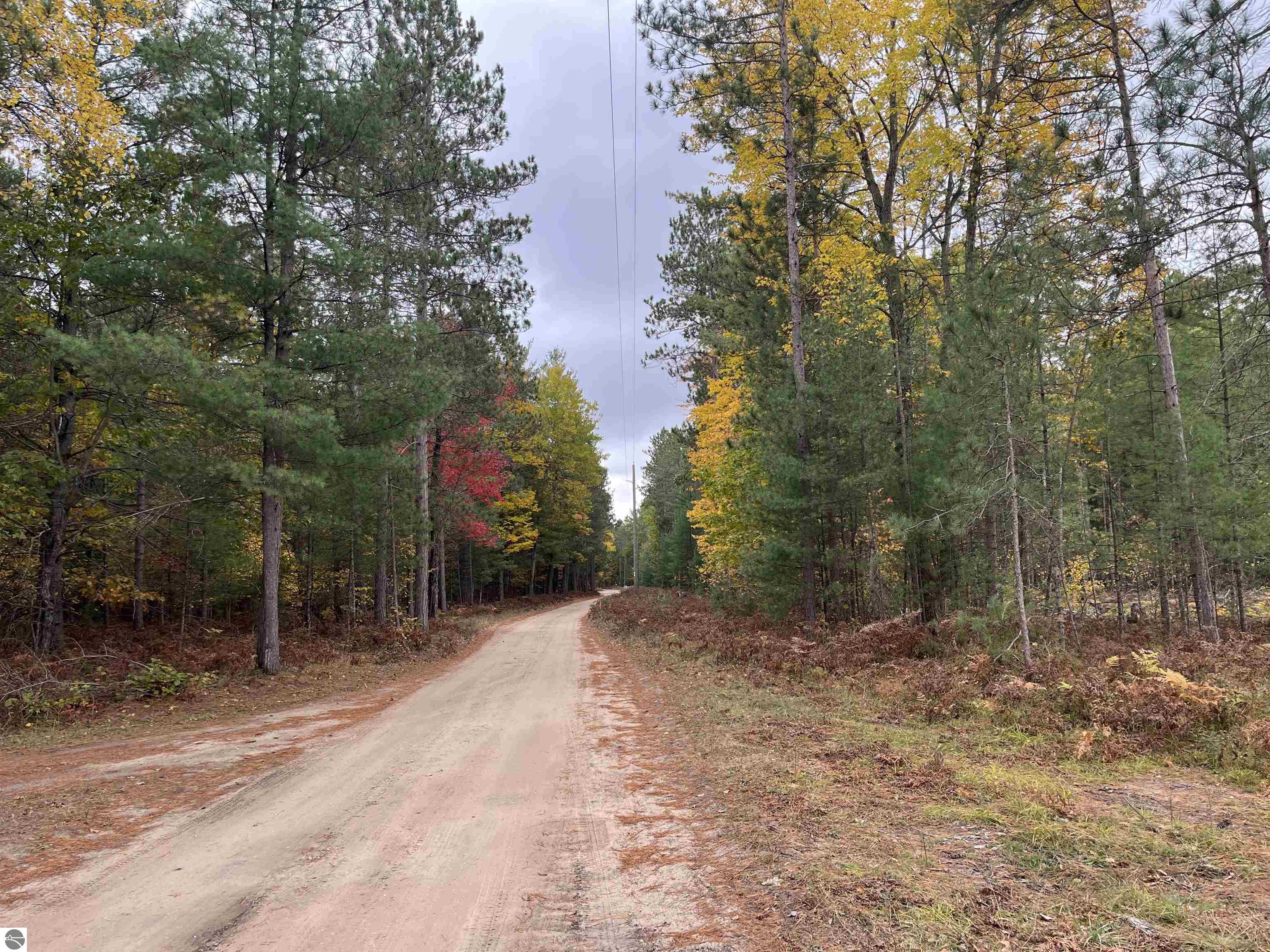 Twins Trail