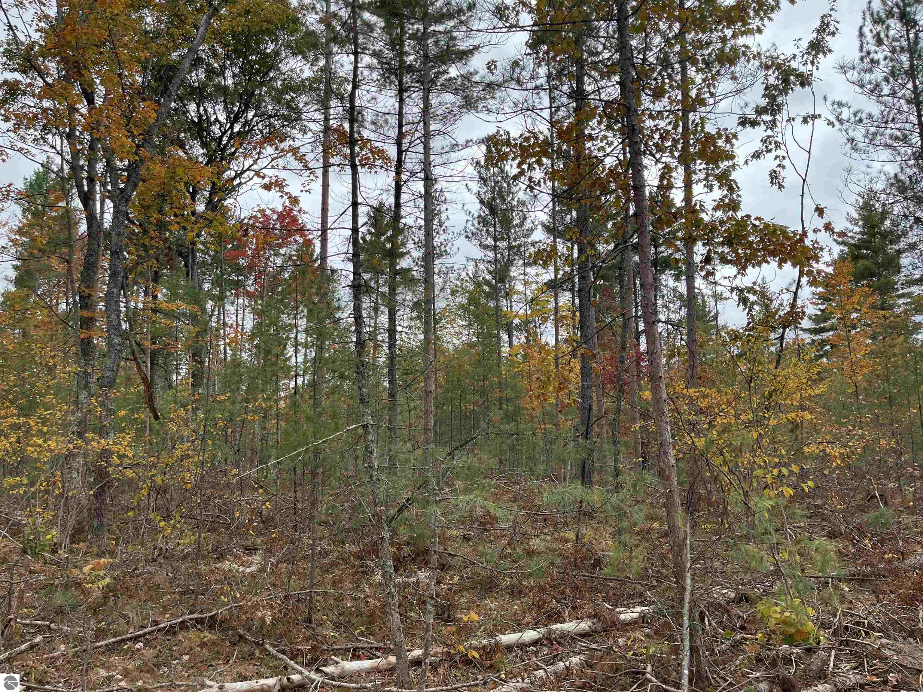 Twins Trail