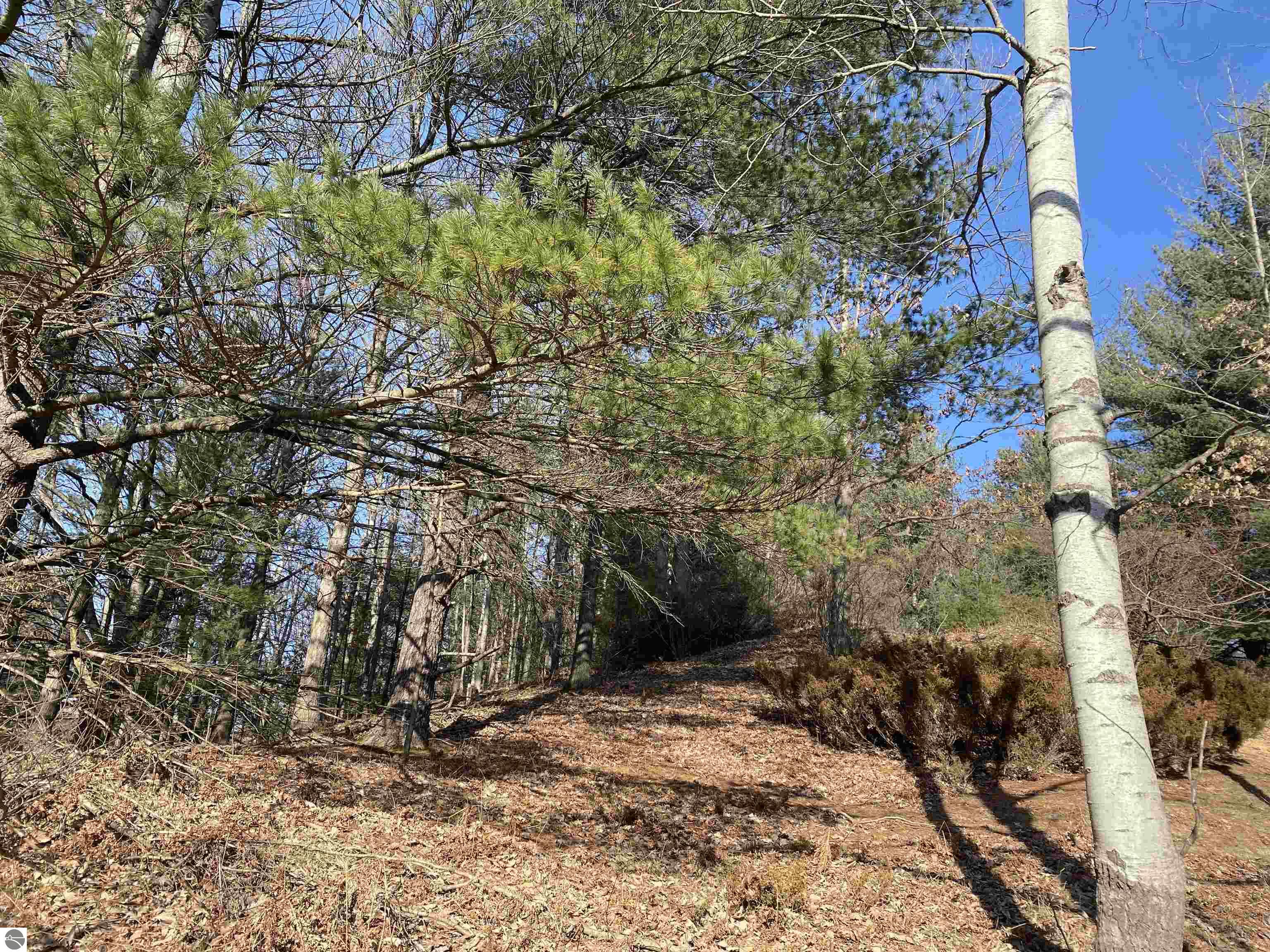 Lot 44 Kirkridge Drive
