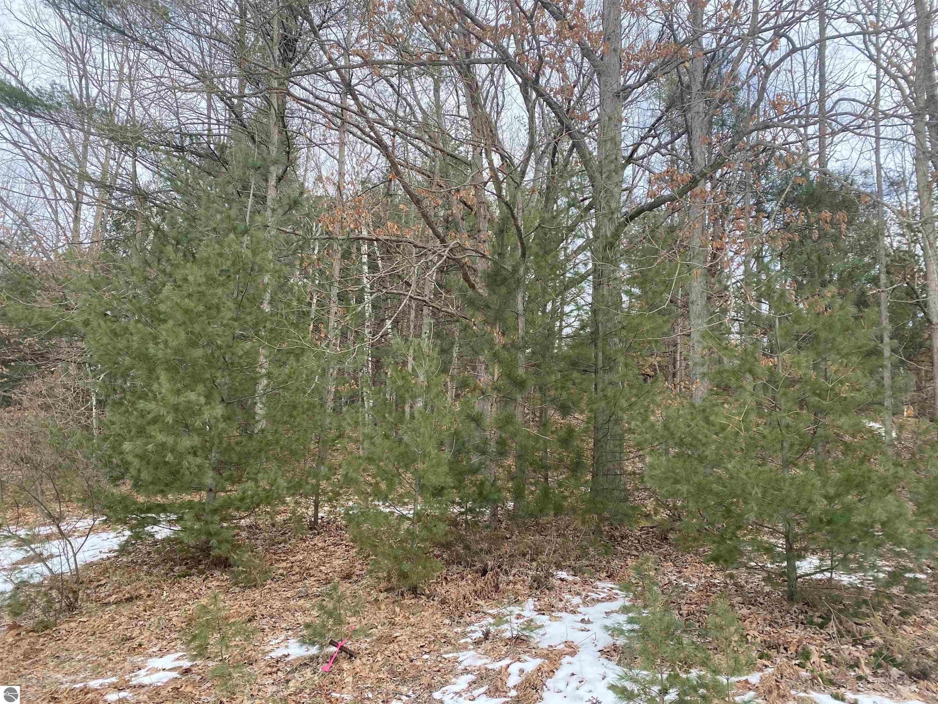Lot 44 Kirkridge Drive