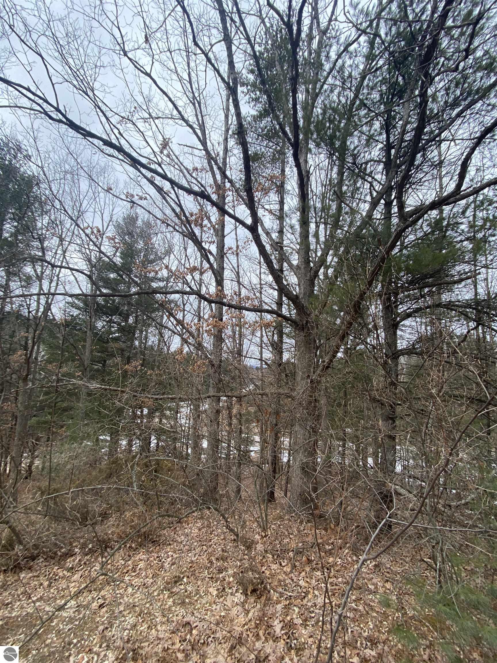 Lot 44 Kirkridge Drive