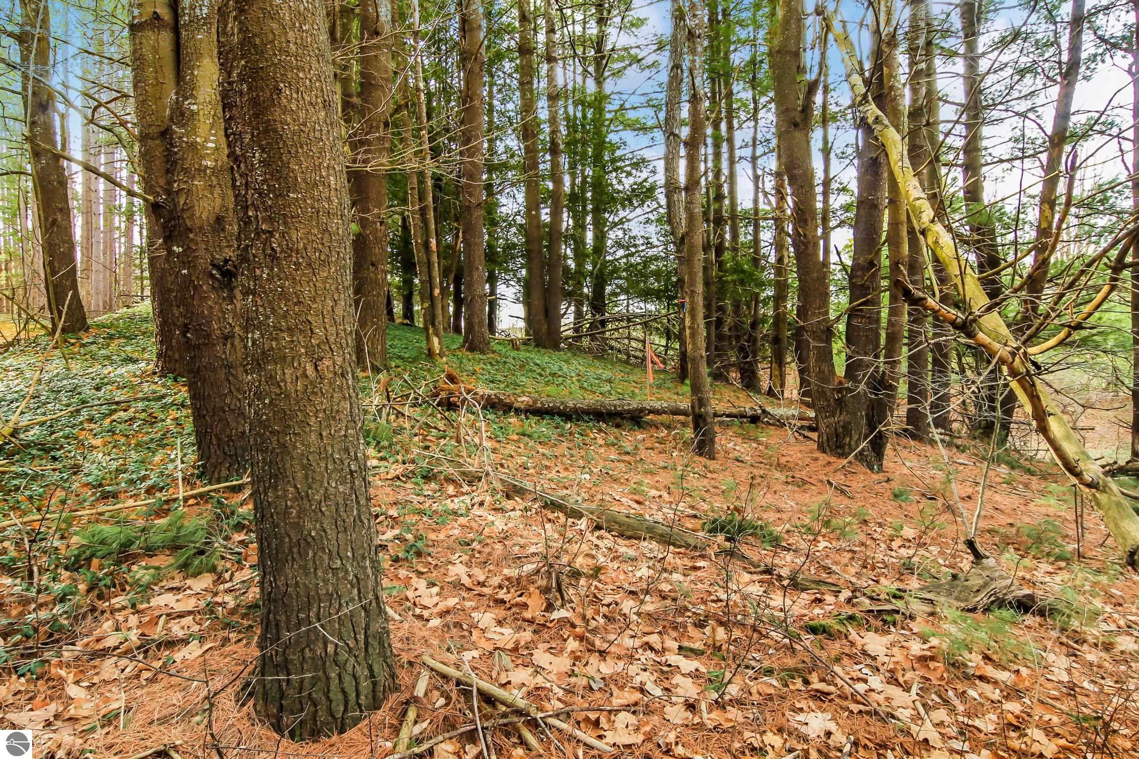 5172 Cedar Valley Road