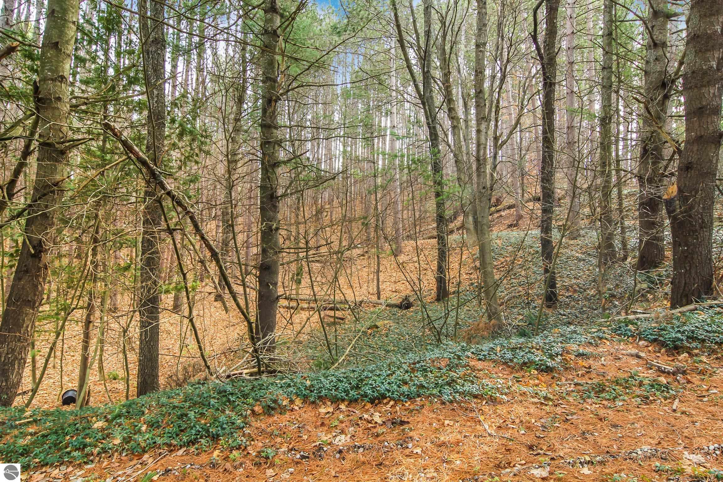 5172 Cedar Valley Road