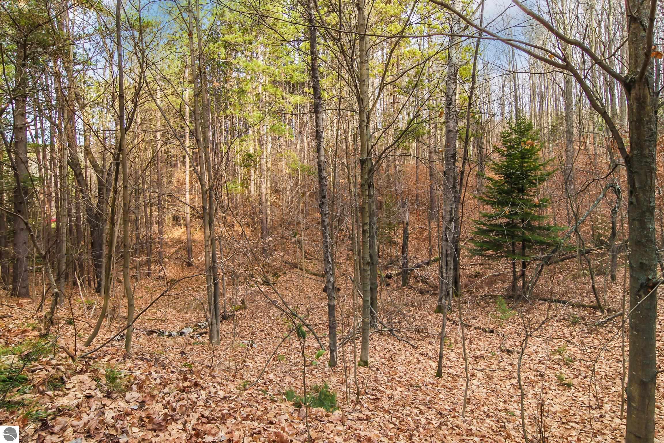 5172 Cedar Valley Road