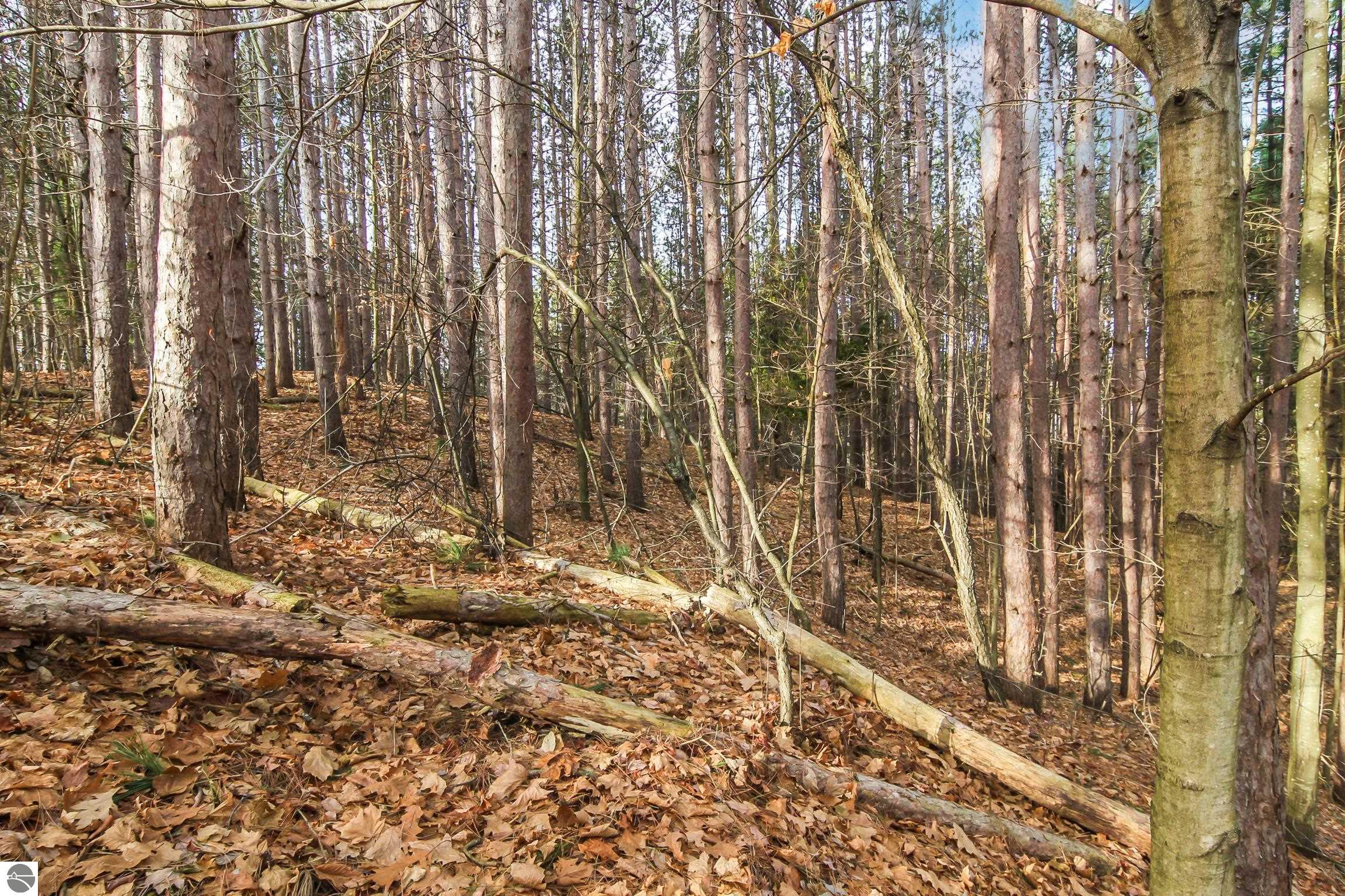 5172 Cedar Valley Road