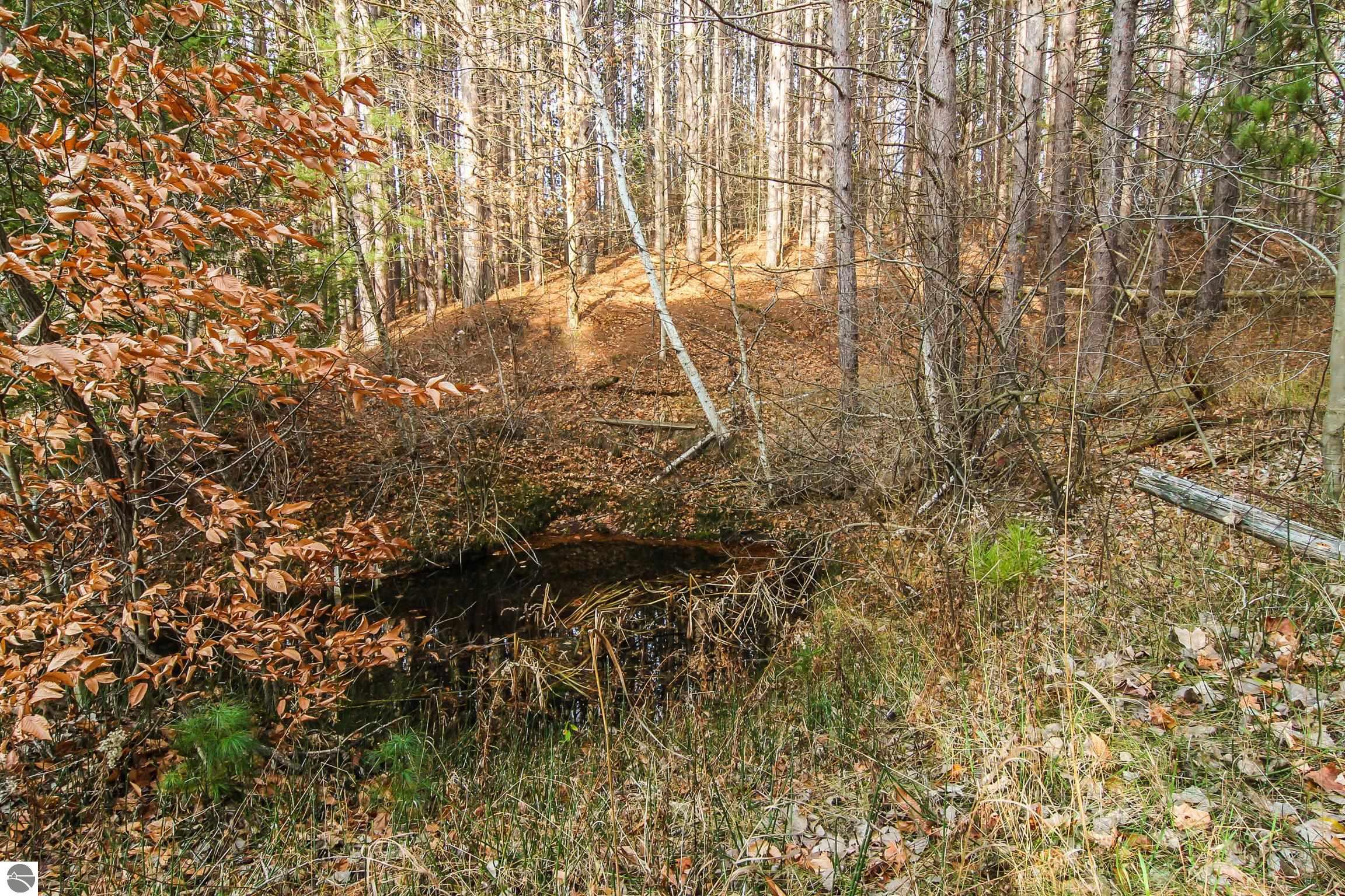 5172 Cedar Valley Road