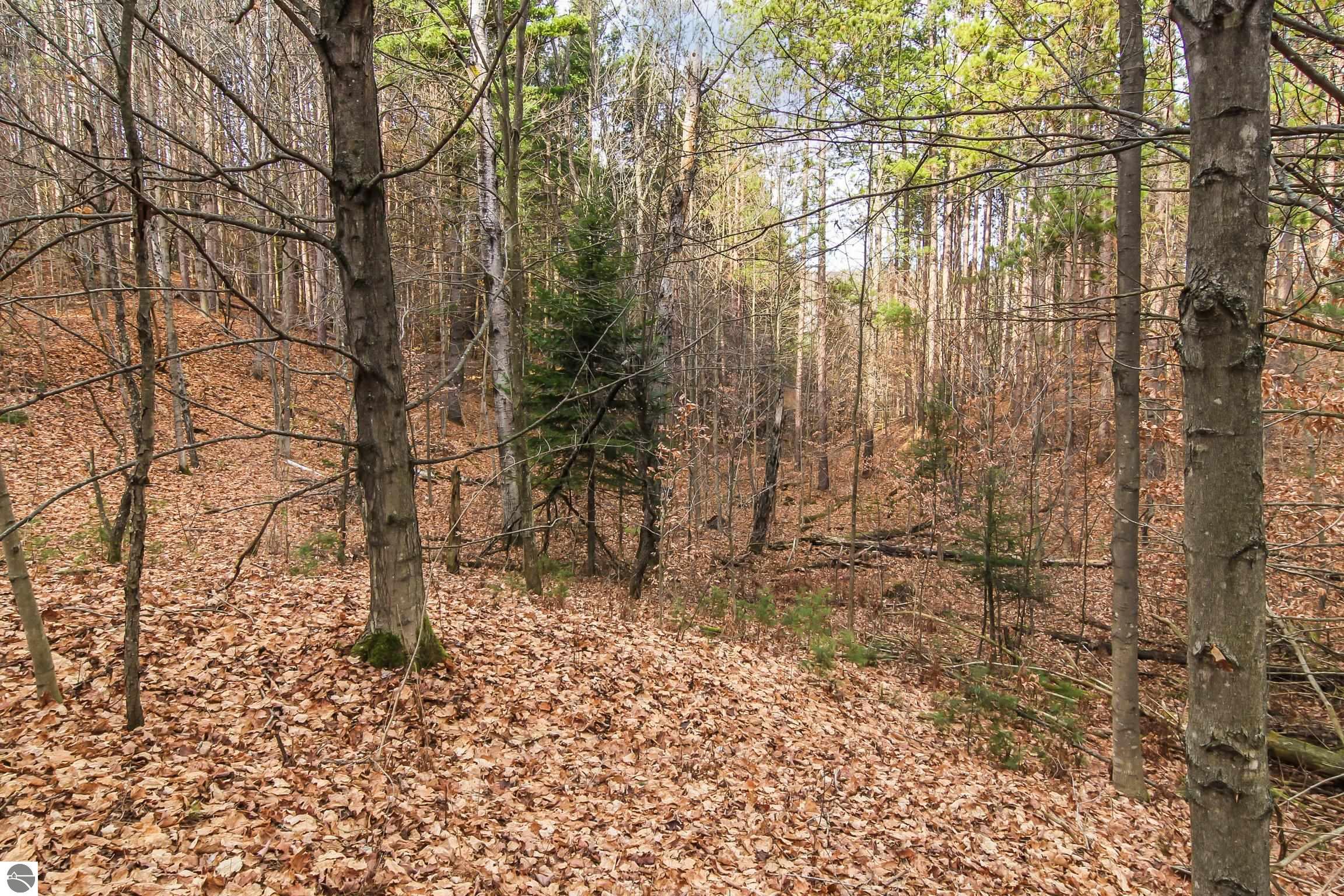 5172 Cedar Valley Road