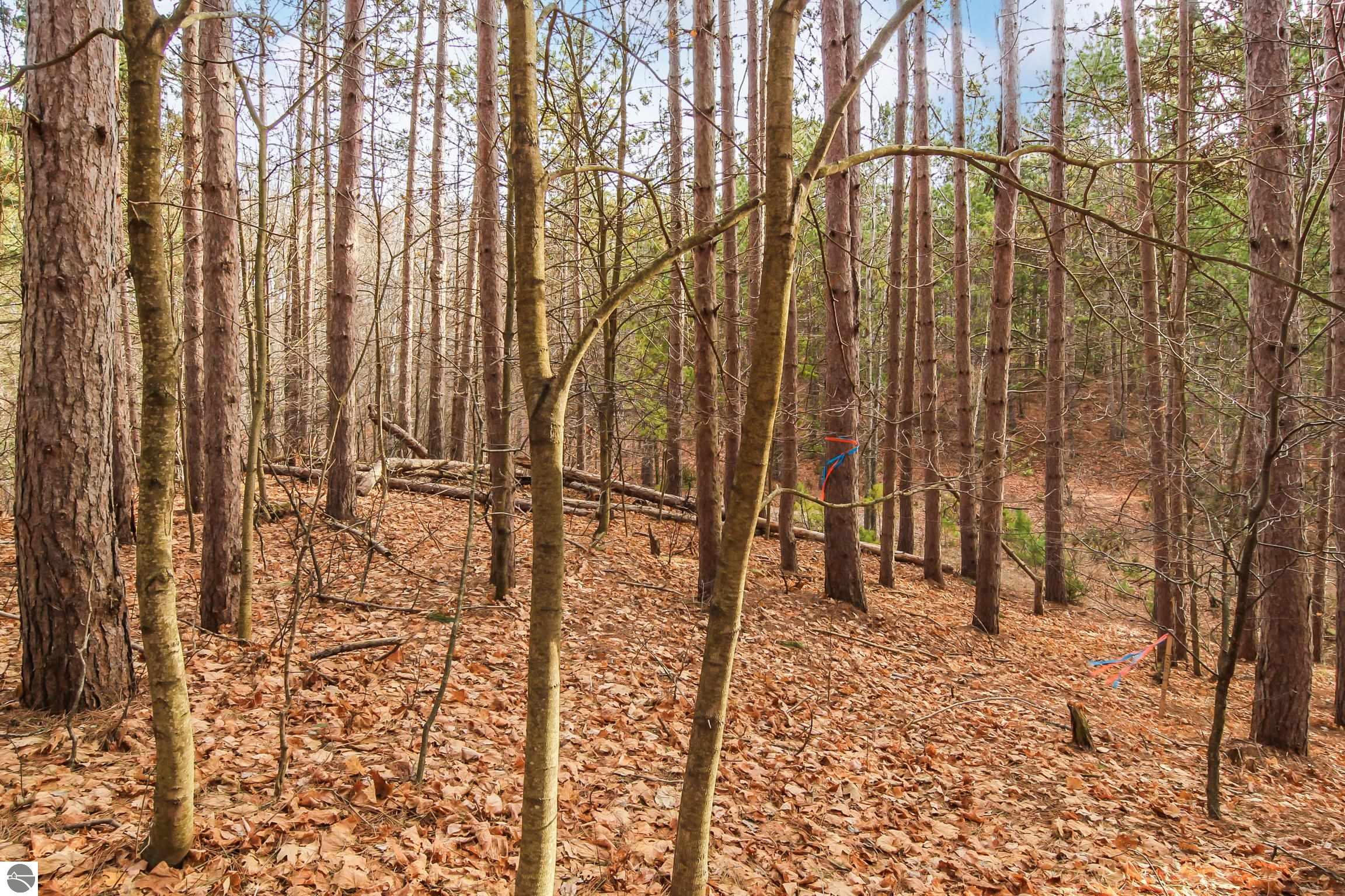 5172 Cedar Valley Road