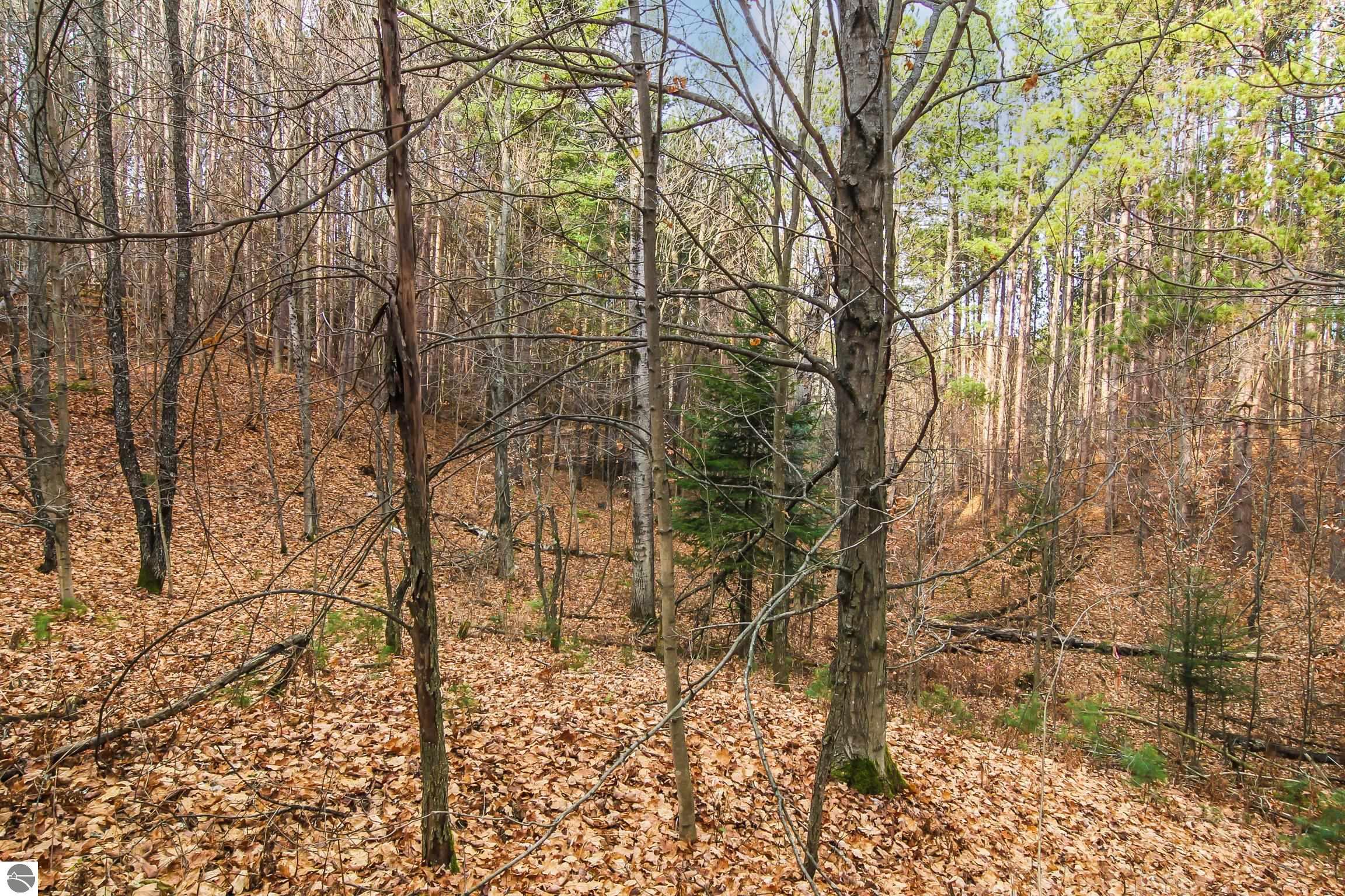 5172 Cedar Valley Road