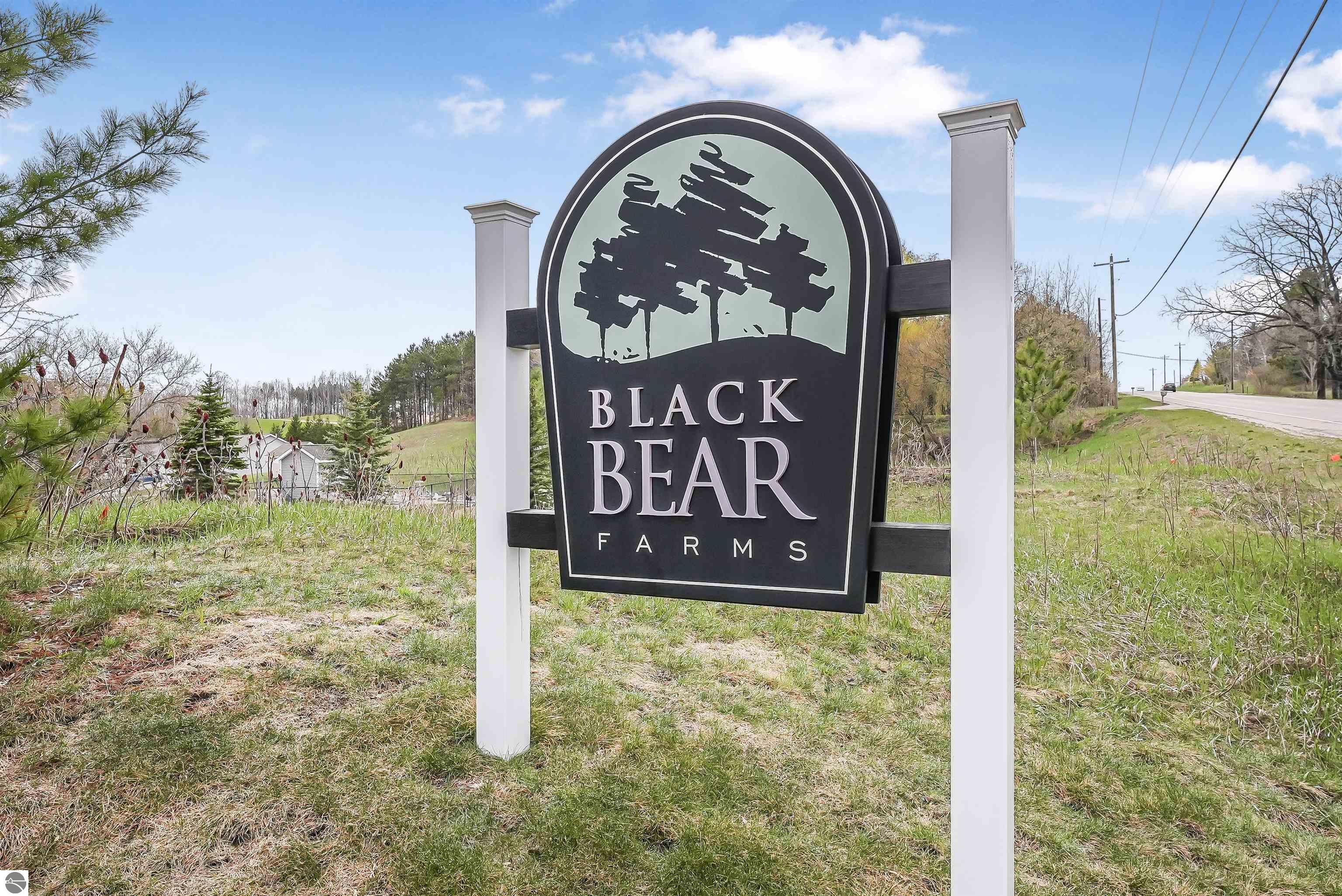 4620 Black Bear Drive