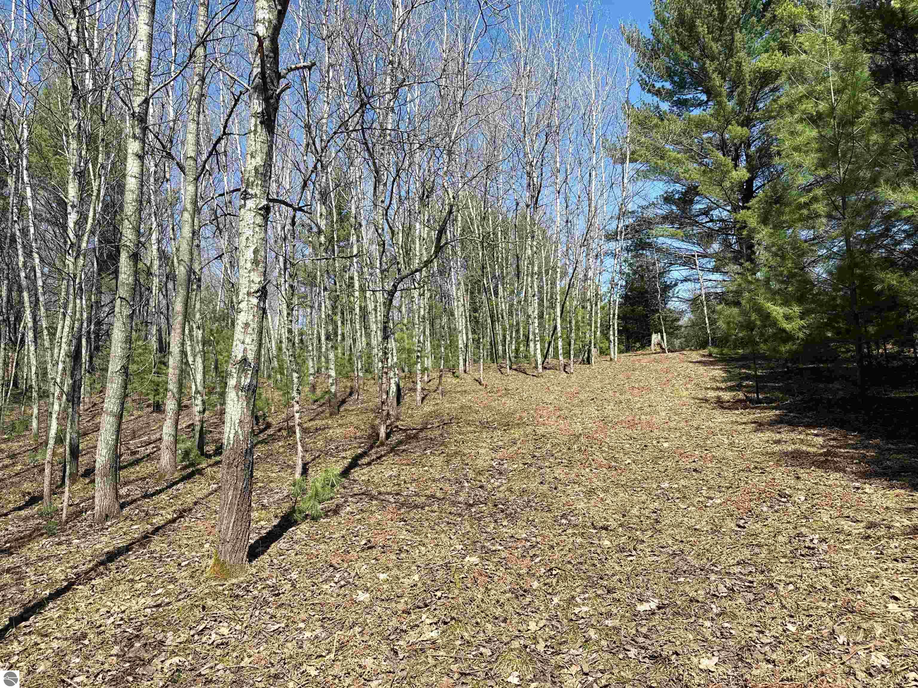 V/L SE Bobcat Trail