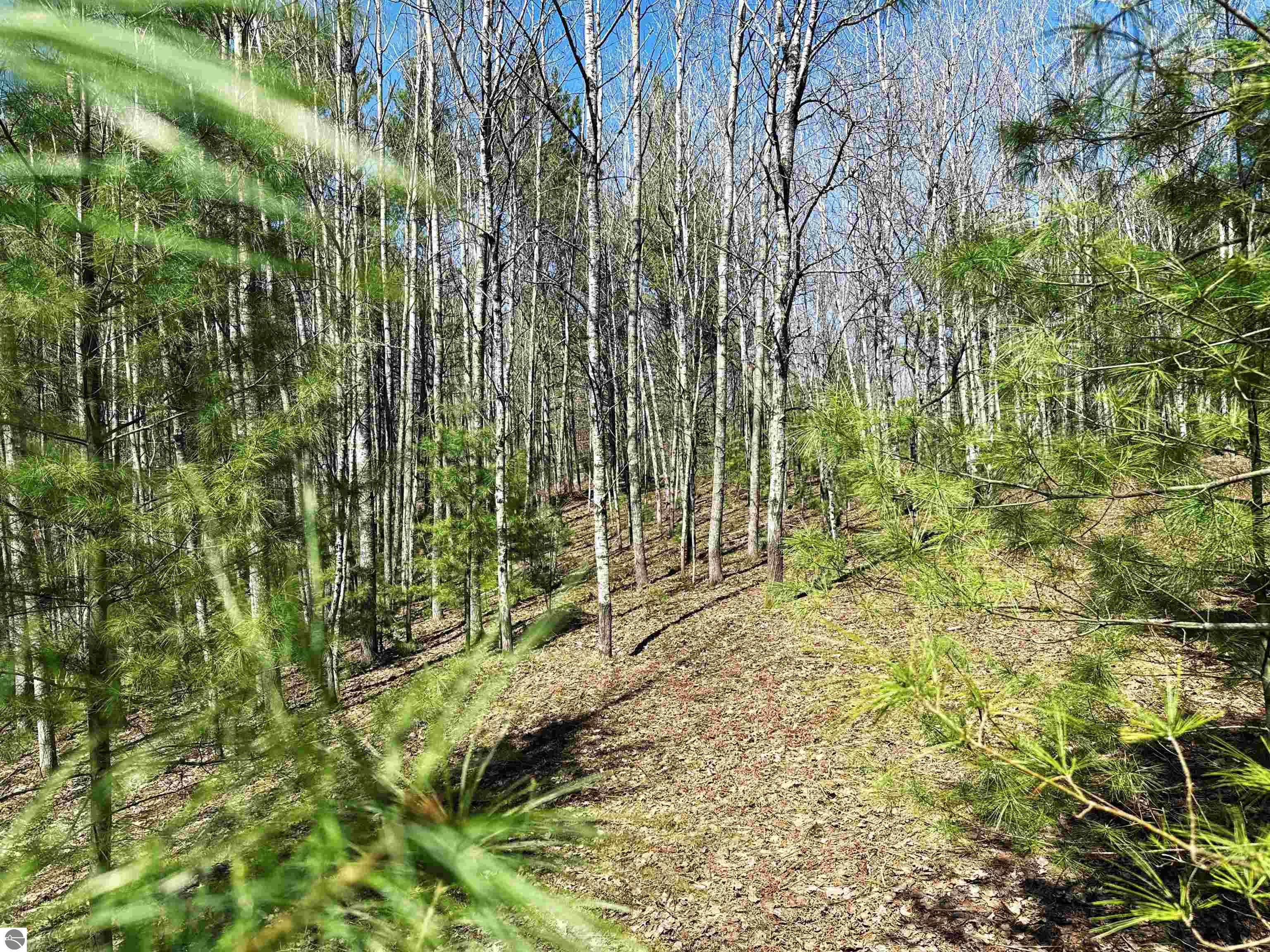 V/L SE Bobcat Trail