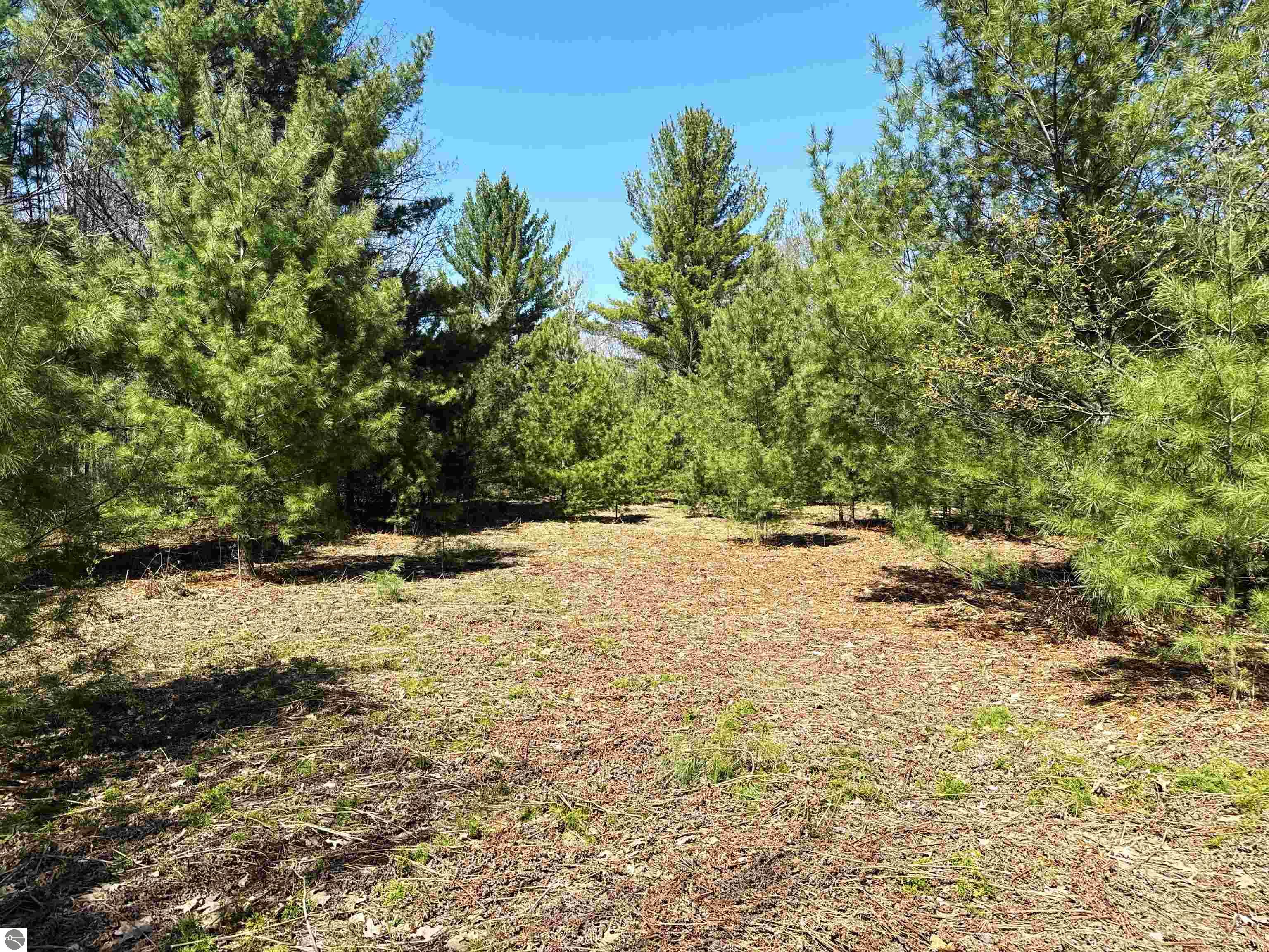 V/L SE Bobcat Trail