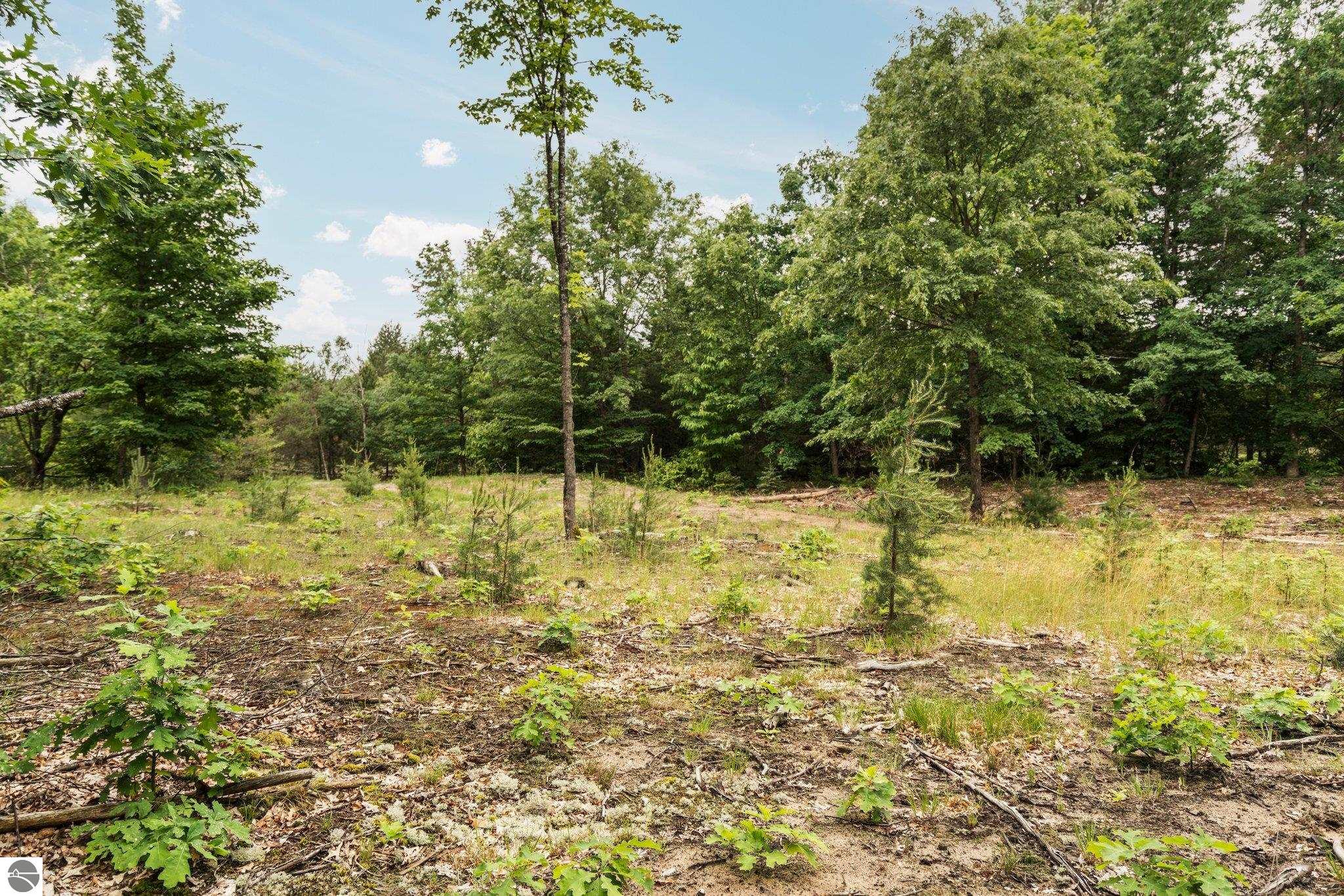 0 Cedar Creek Road
