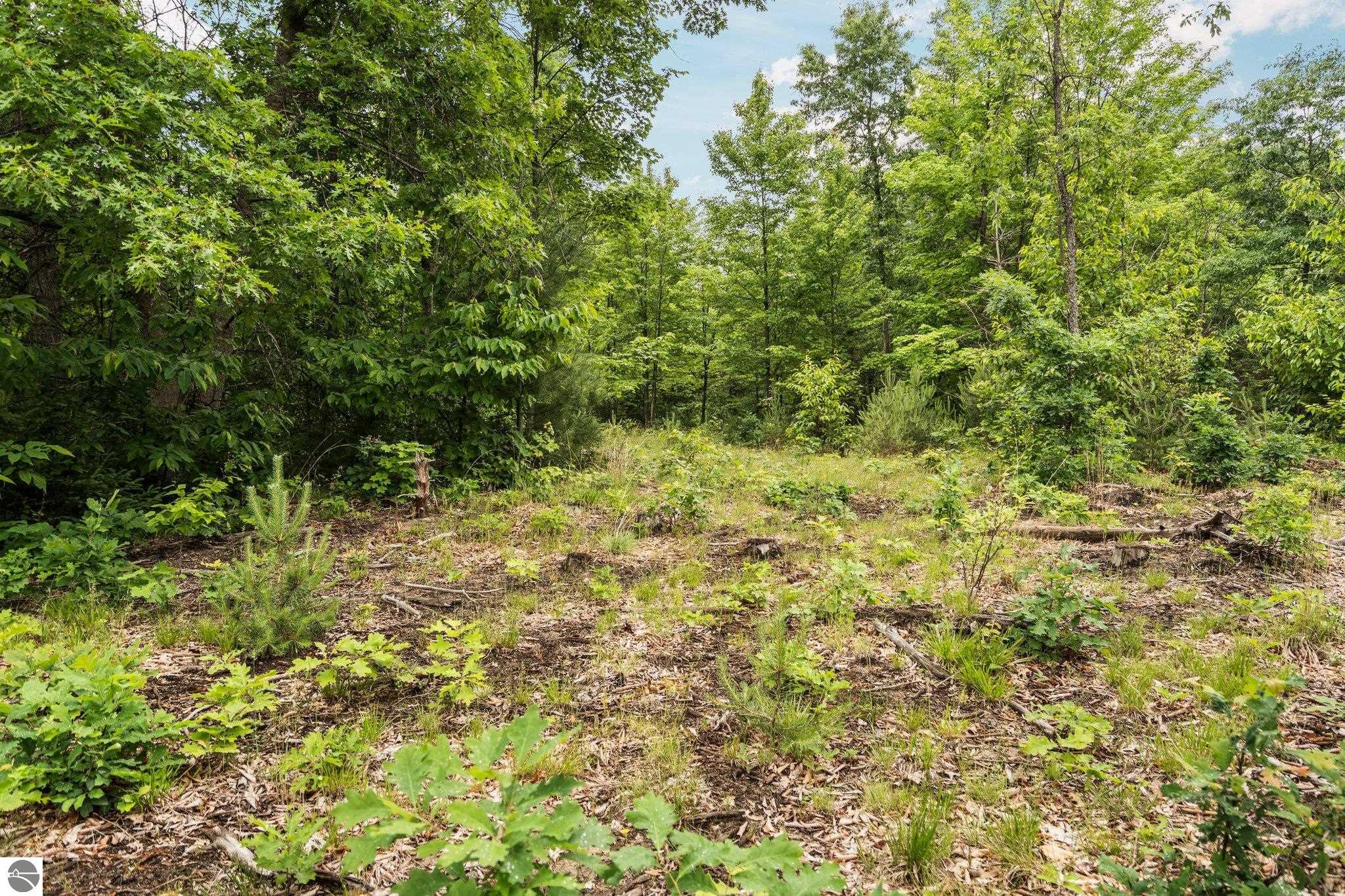 0 Cedar Creek Road