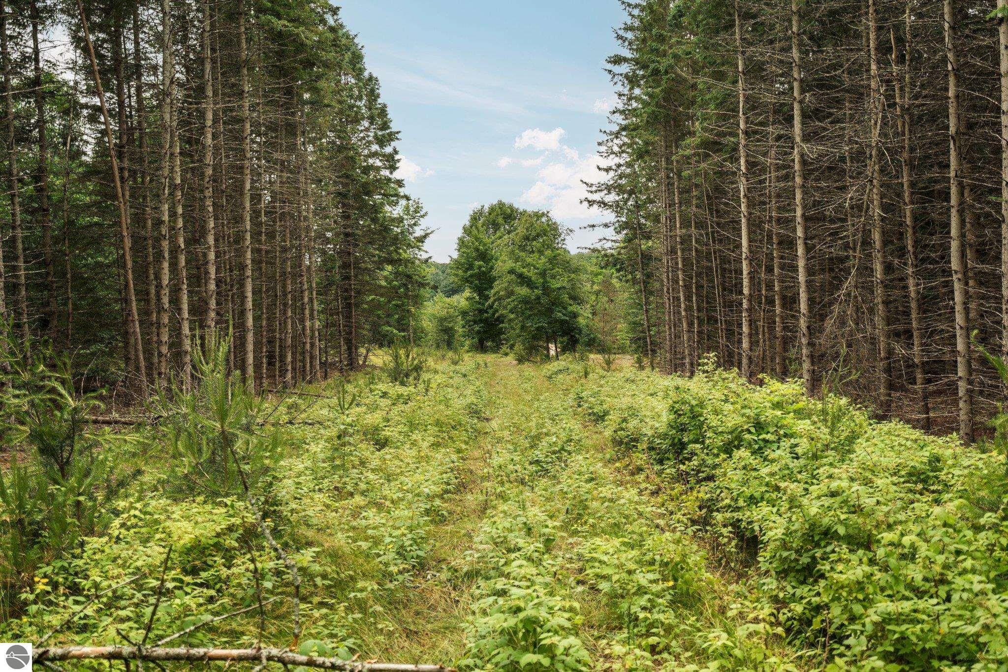 0 Cedar Creek Road