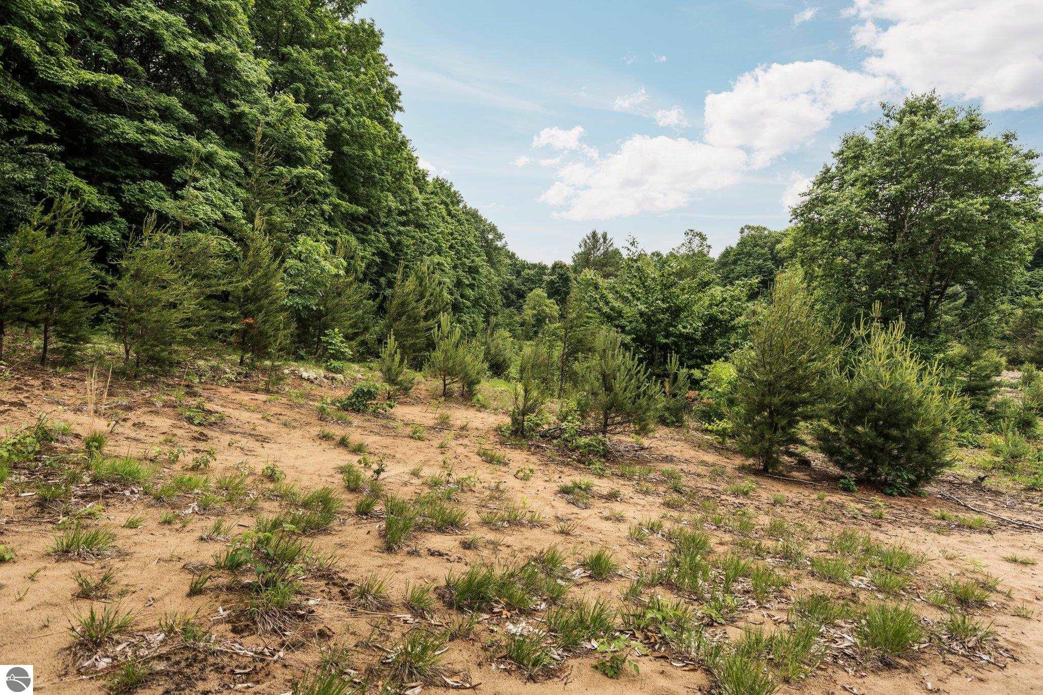0 Cedar Creek Road