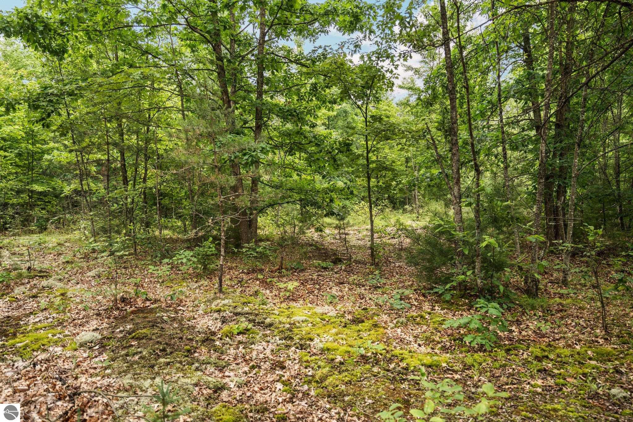 0 Cedar Creek Road