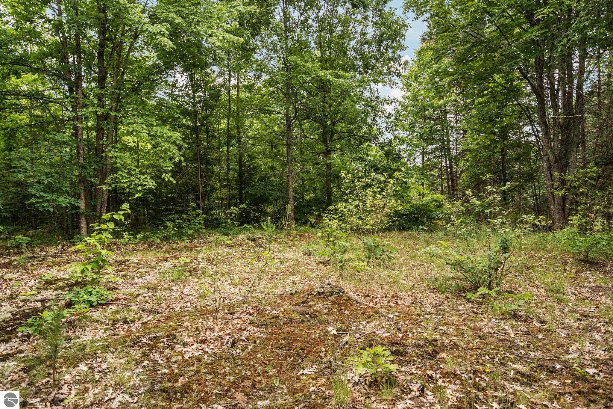 0 Cedar Creek Road