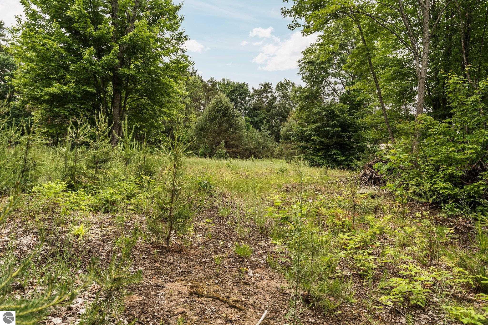 0 Cedar Creek Road