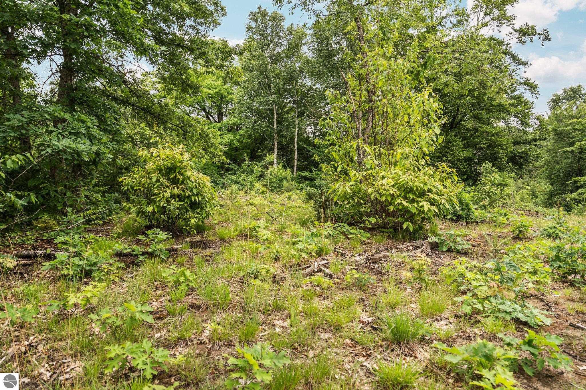 0 Cedar Creek Road