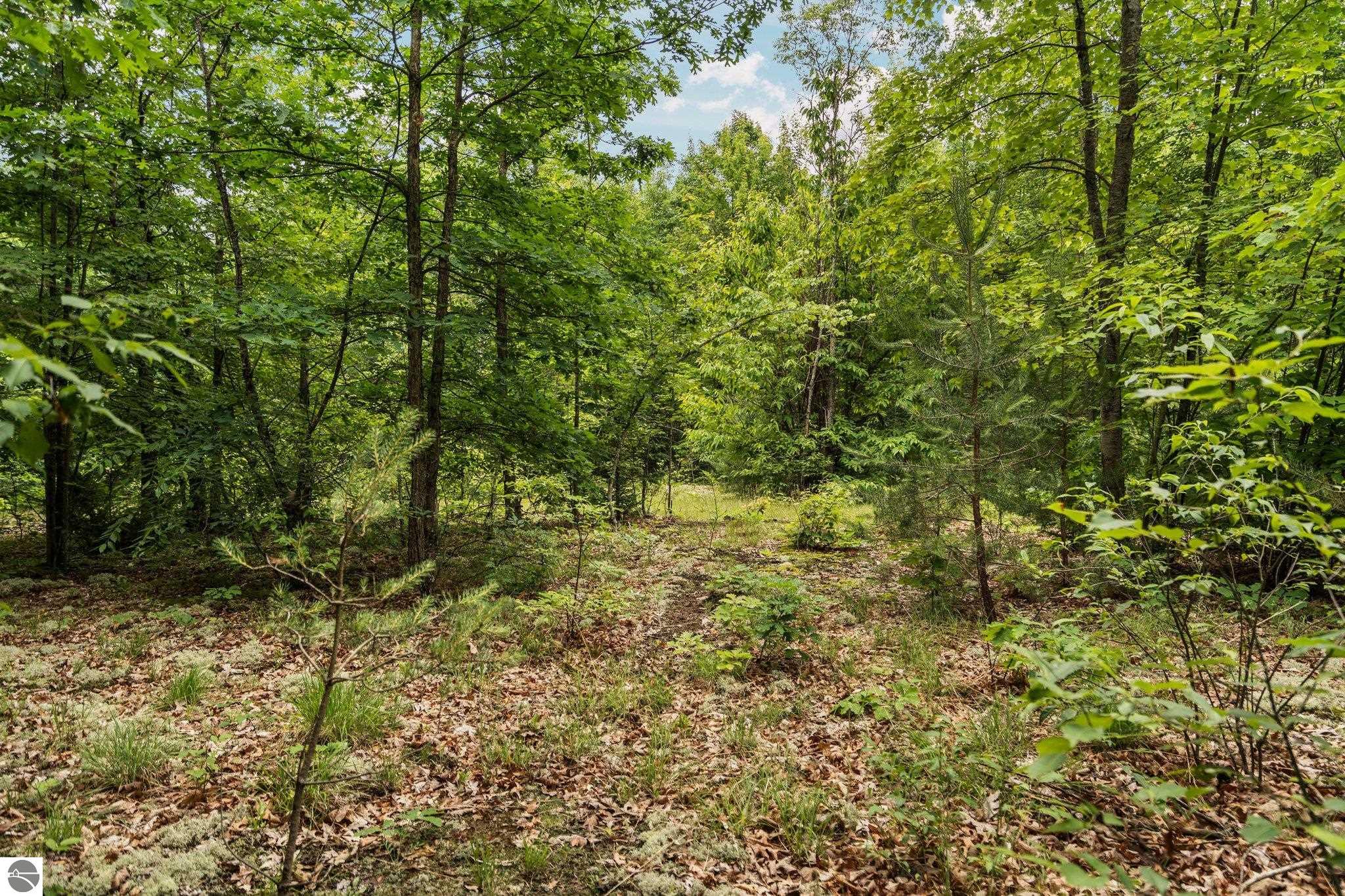 0 Cedar Creek Road