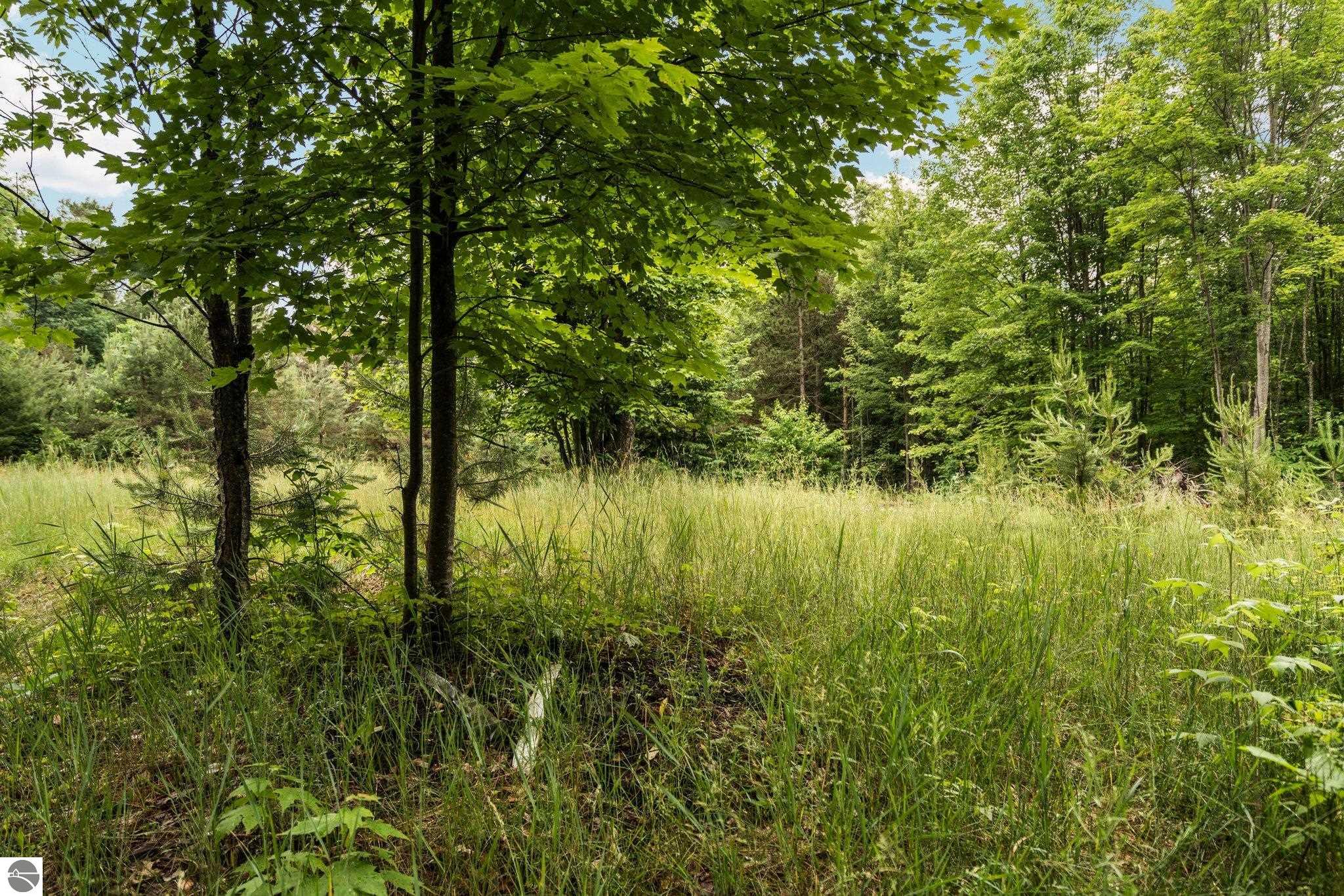 0 Cedar Creek Road