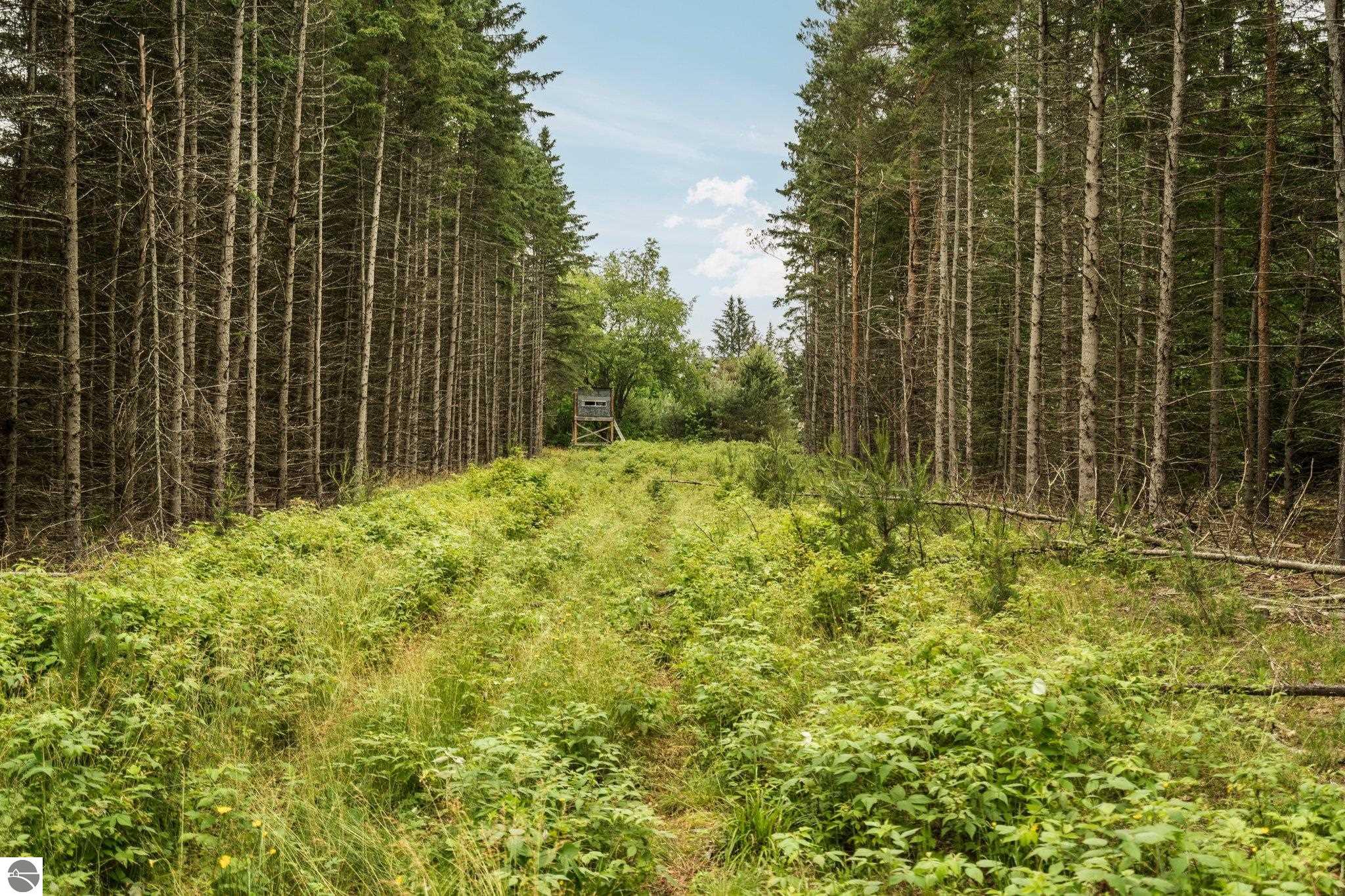0 Cedar Creek Road