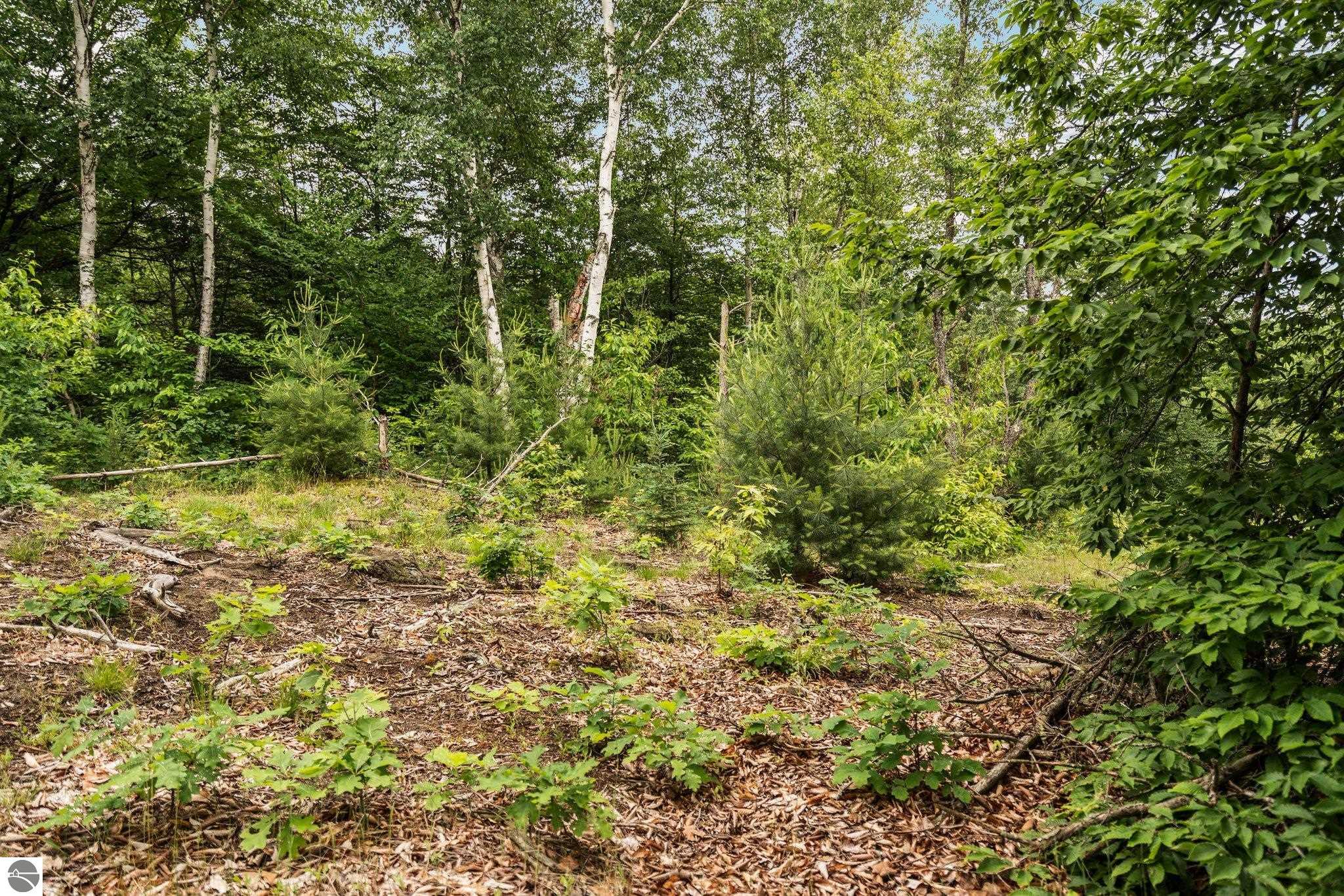 0 Cedar Creek Road