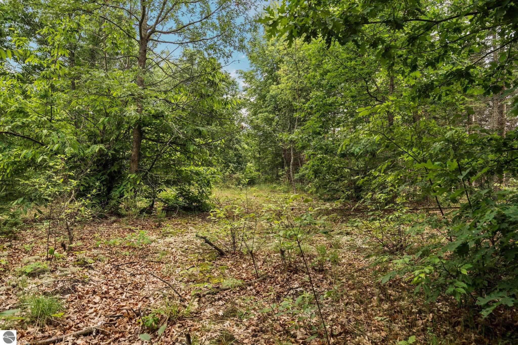 0 Cedar Creek Road
