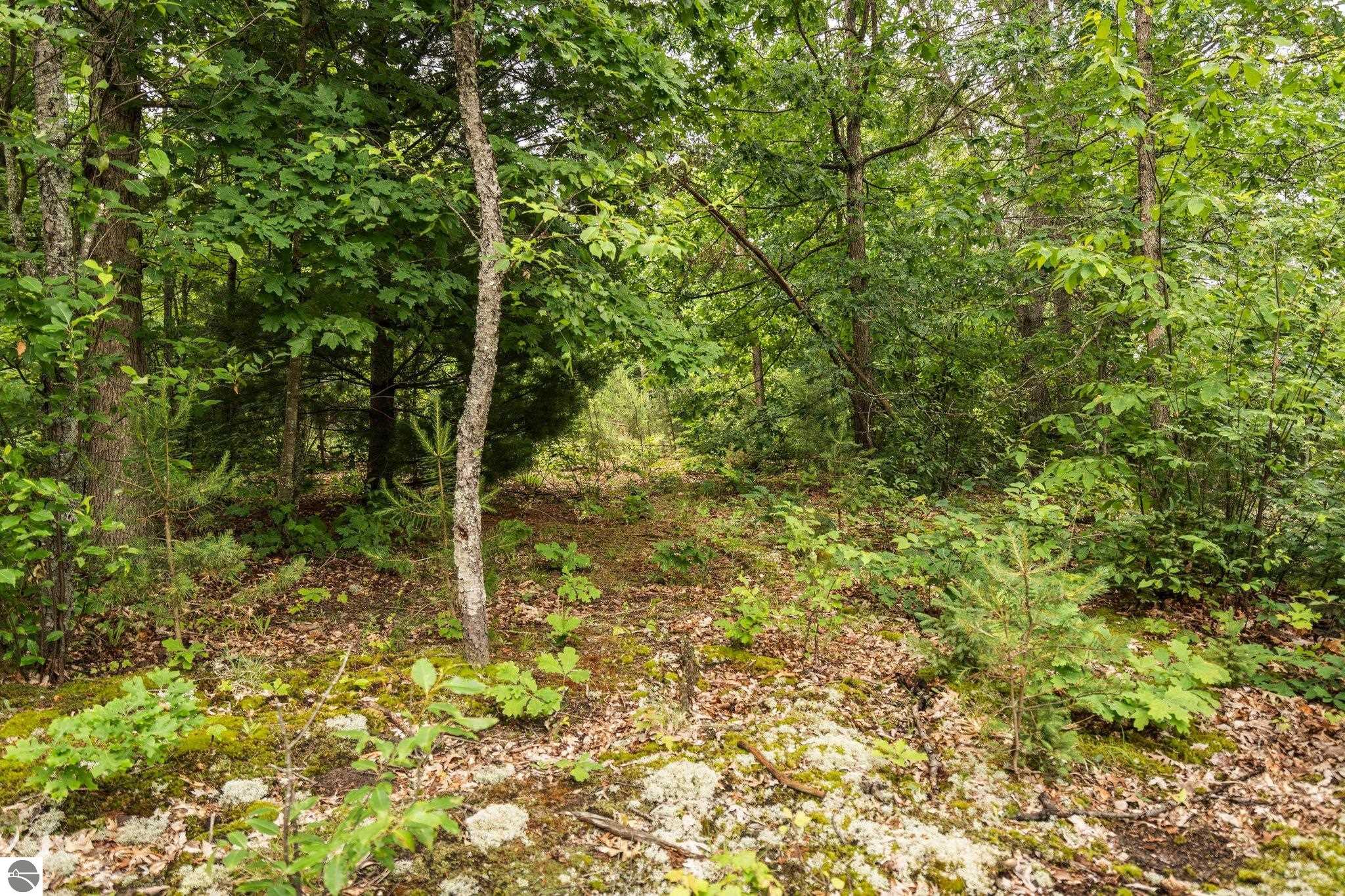 0 Cedar Creek Road