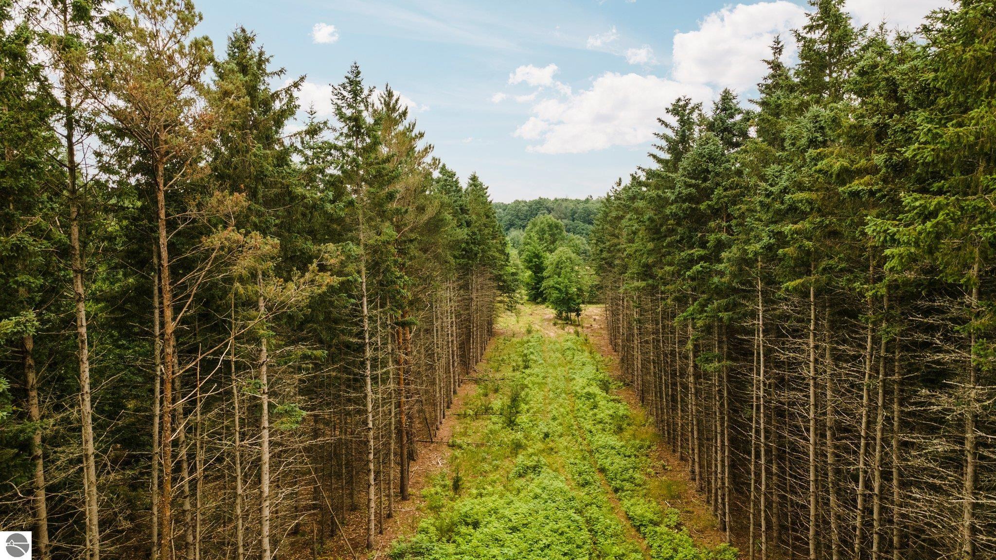0 Cedar Creek Road