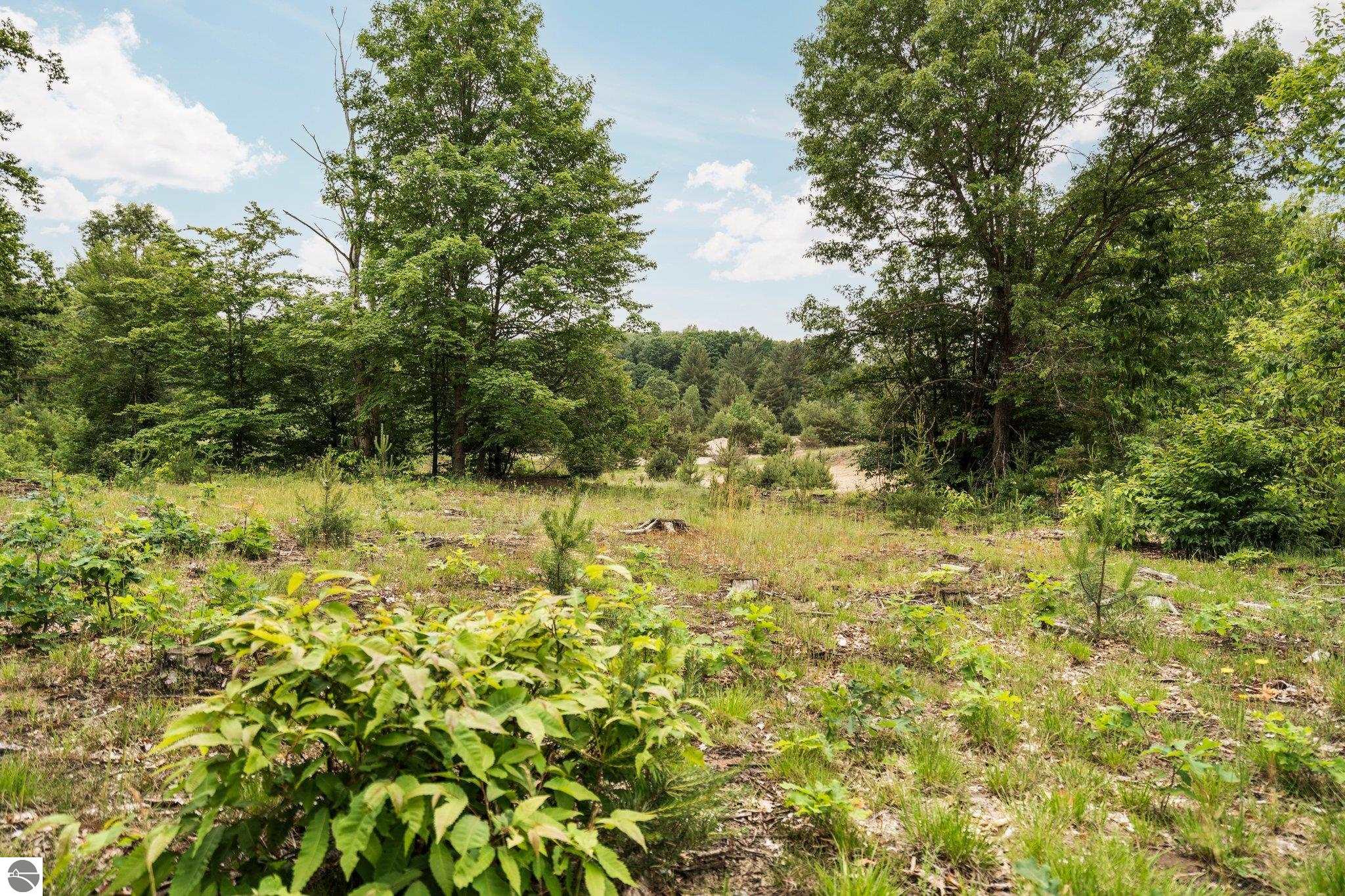 0 Cedar Creek Road