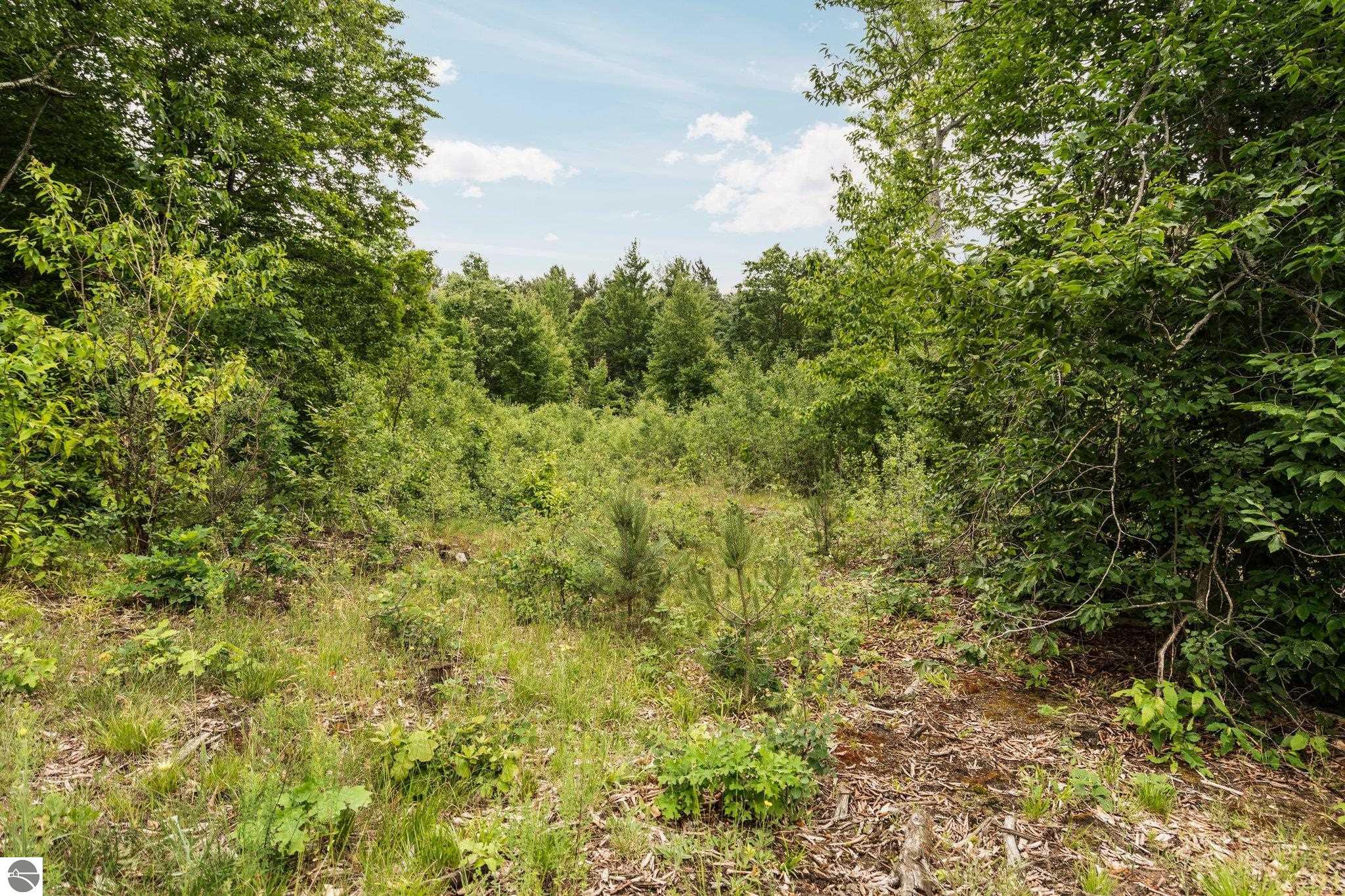 0 Cedar Creek Road