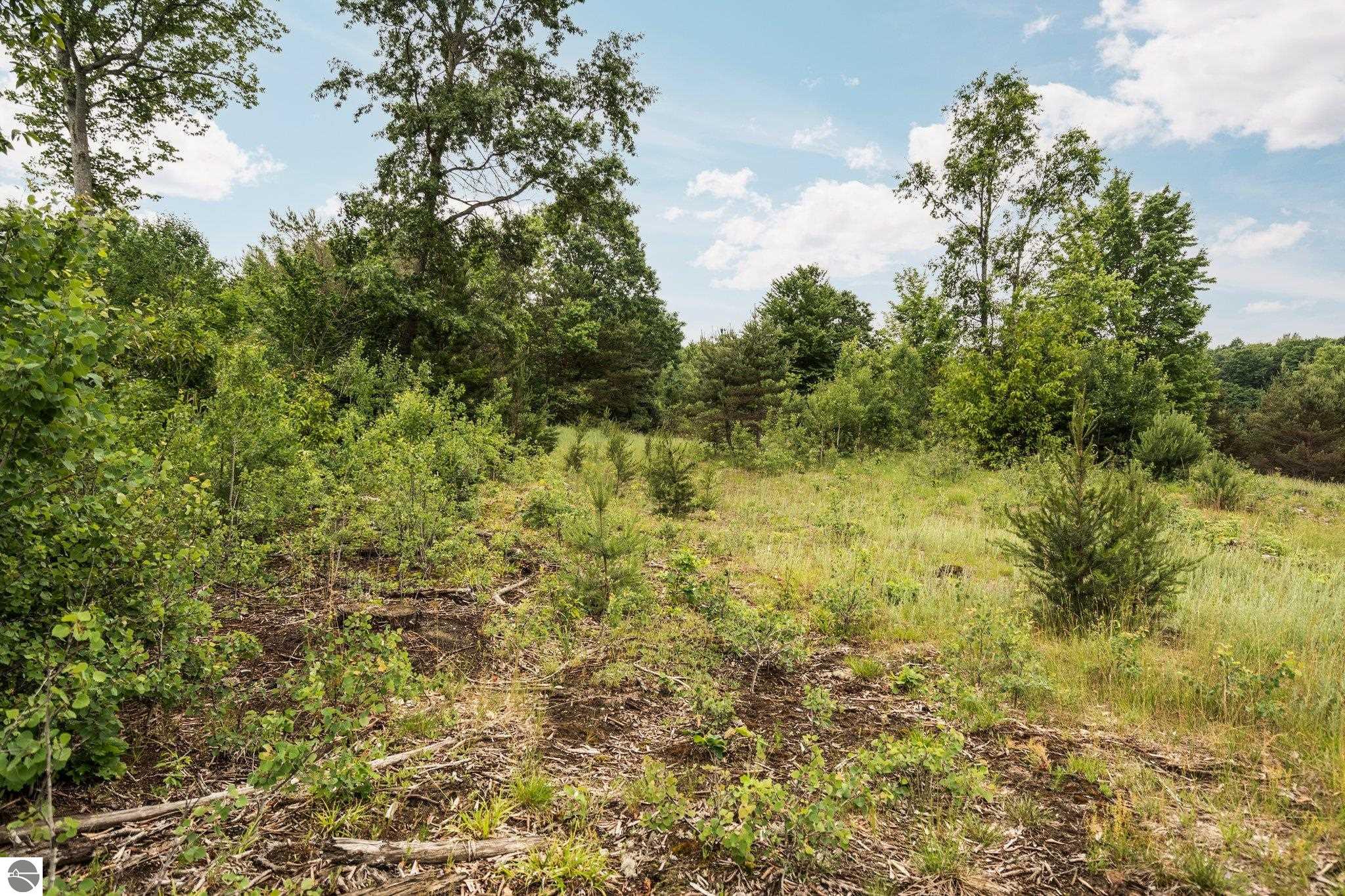0 Cedar Creek Road
