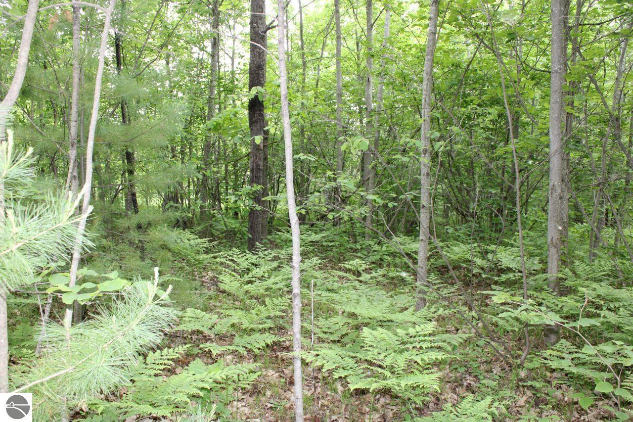 001 Blue Haven Drive