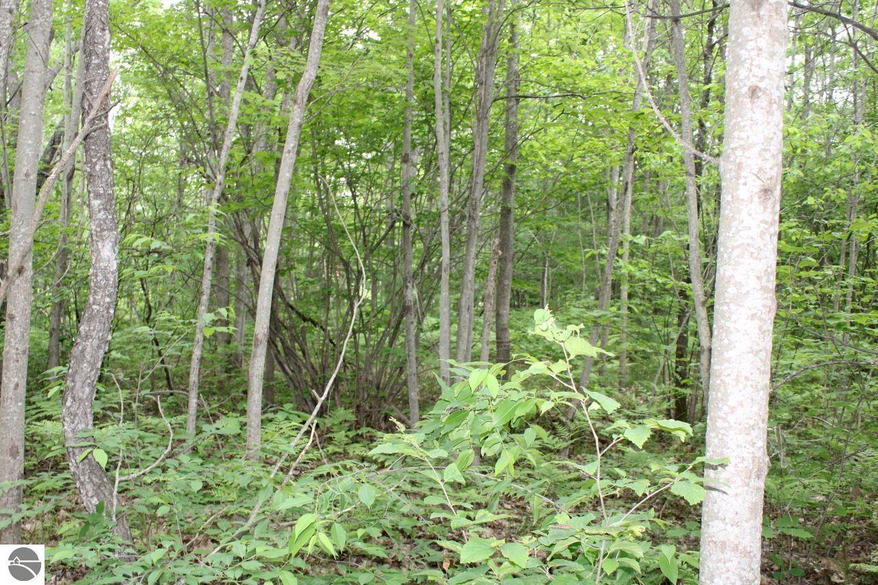 001 Blue Haven Drive