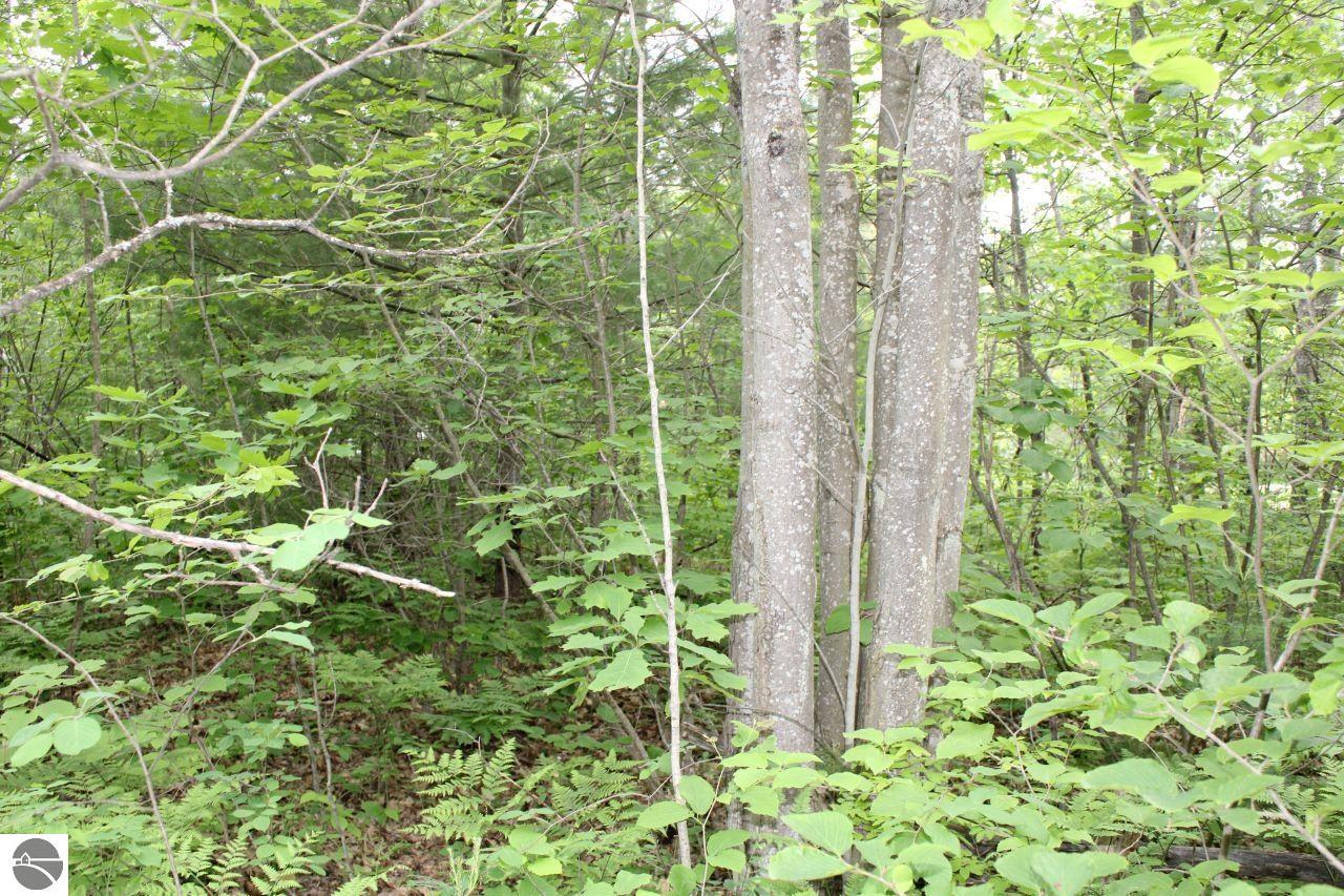 001 Blue Haven Drive