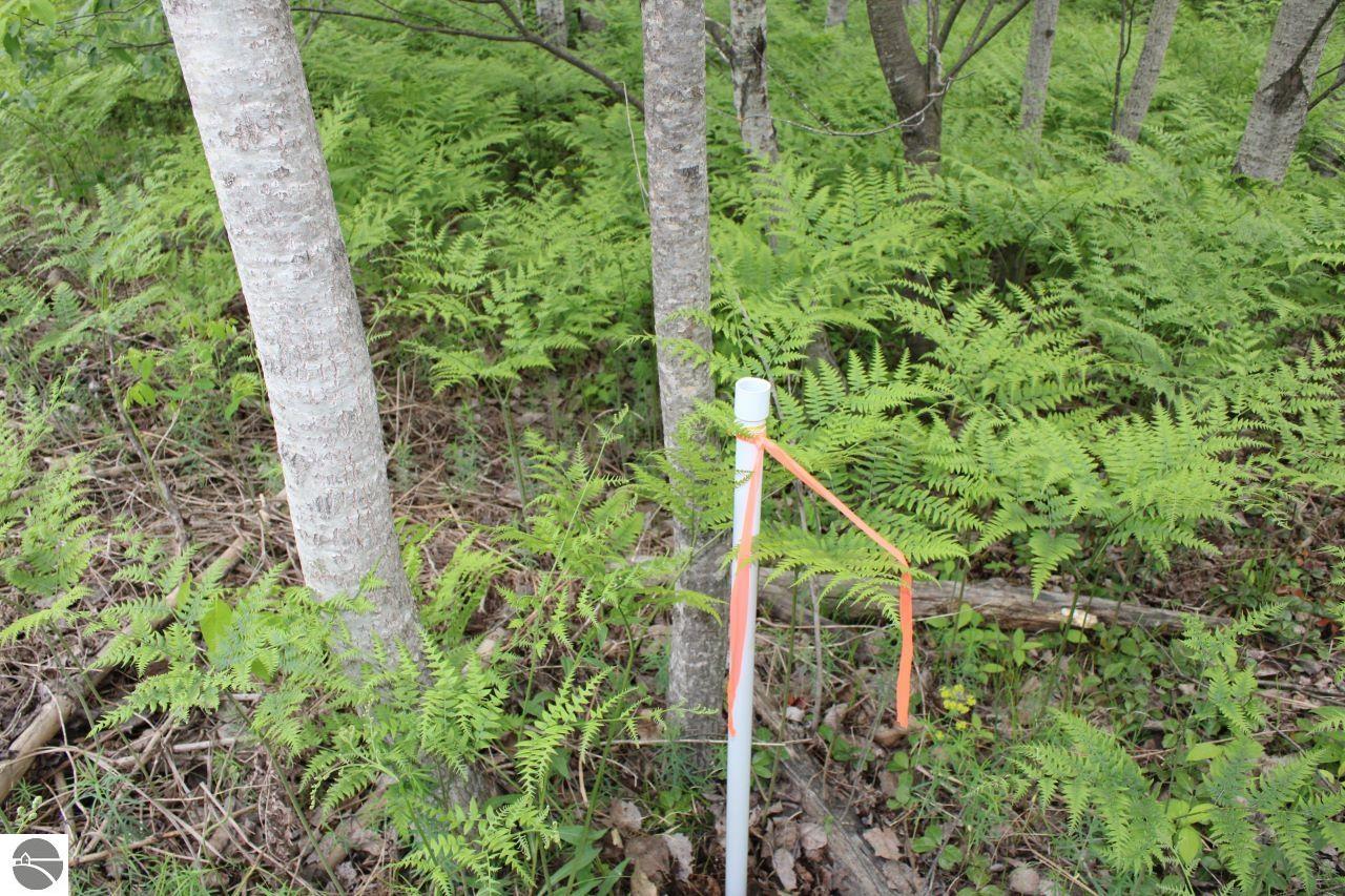 001 Blue Haven Drive