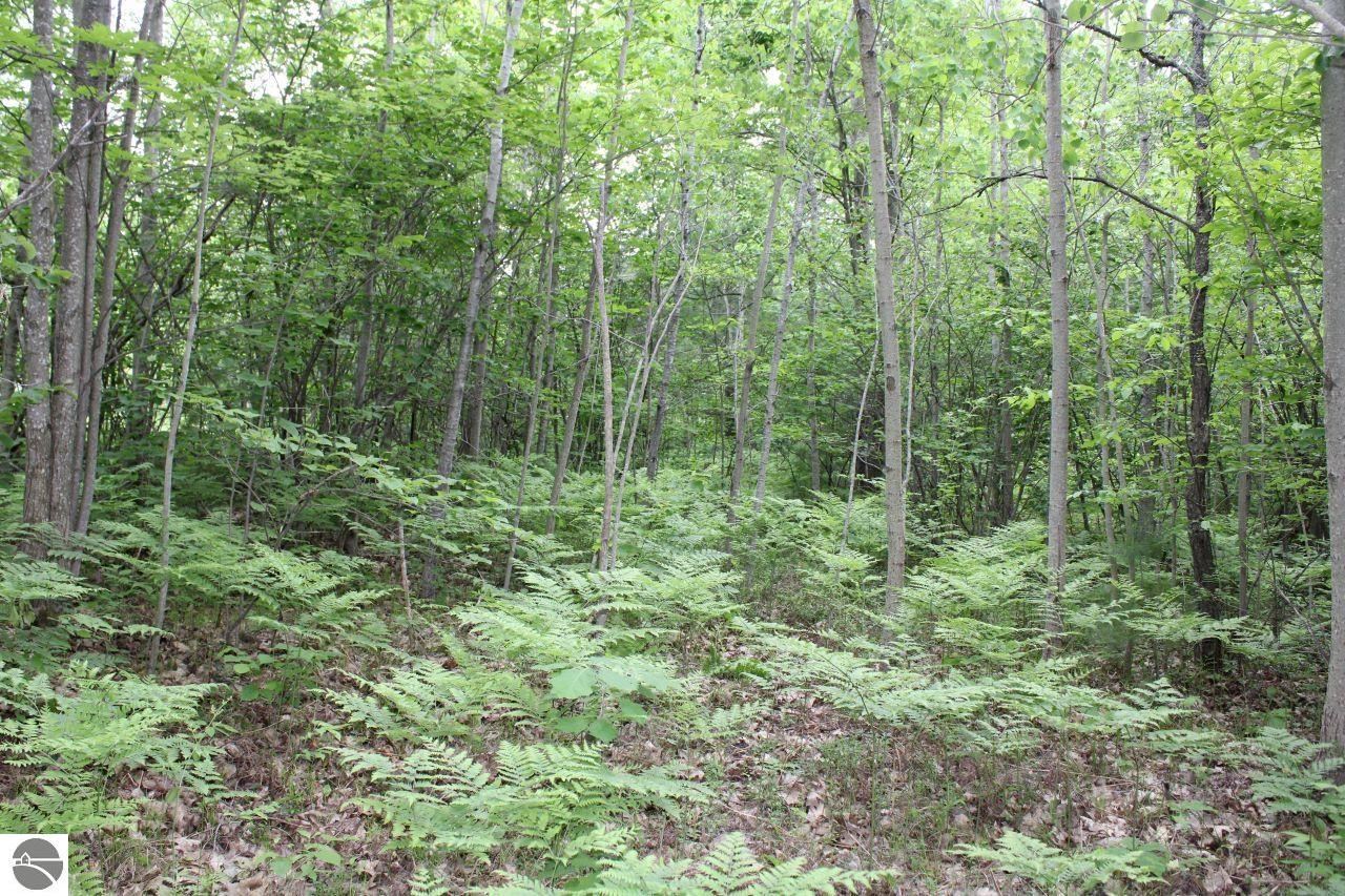 001 Blue Haven Drive