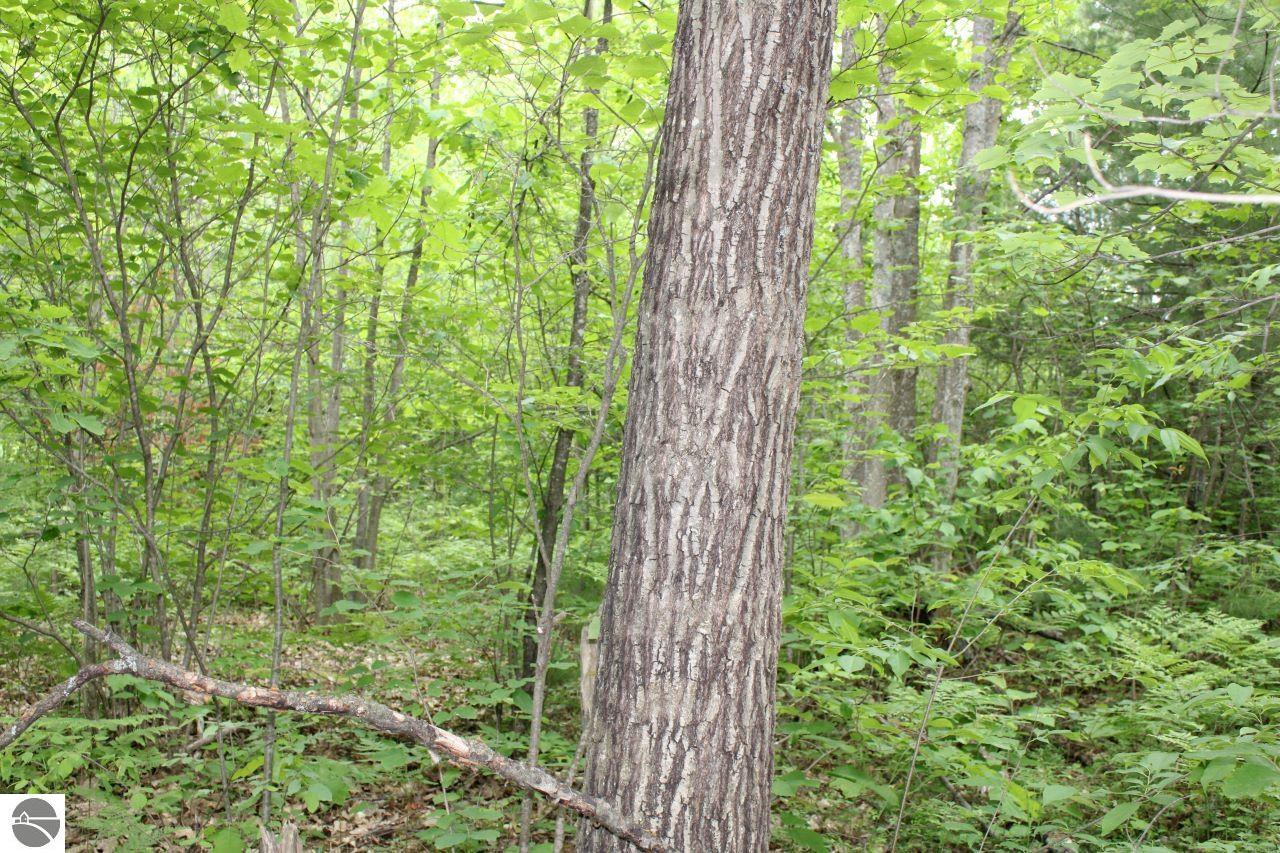 001 Blue Haven Drive