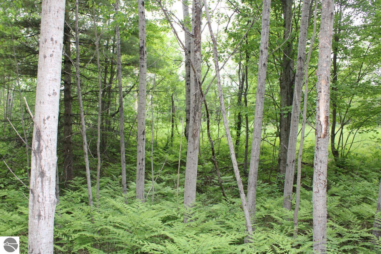 001 Blue Haven Drive