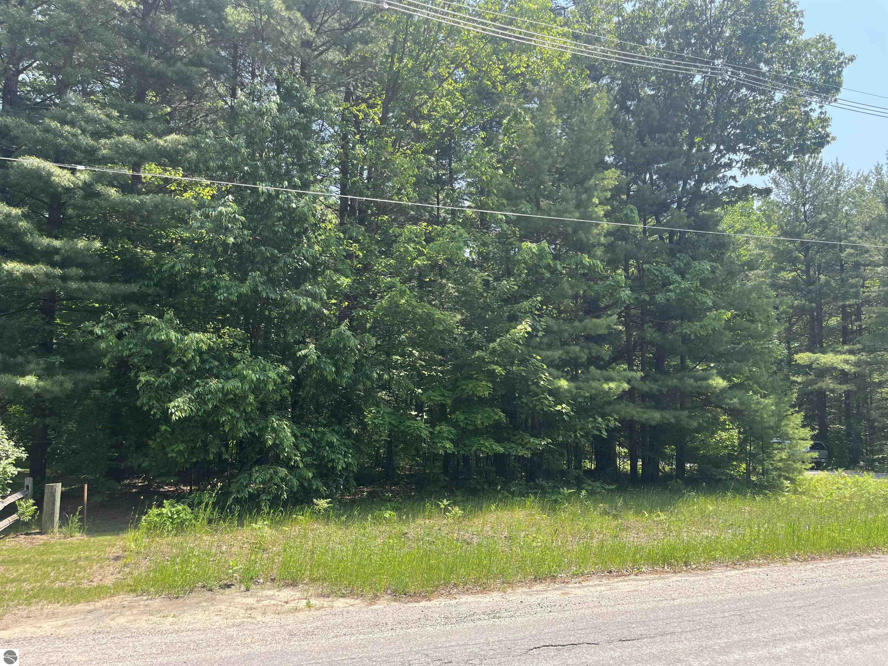 Cedar Hedge Tr