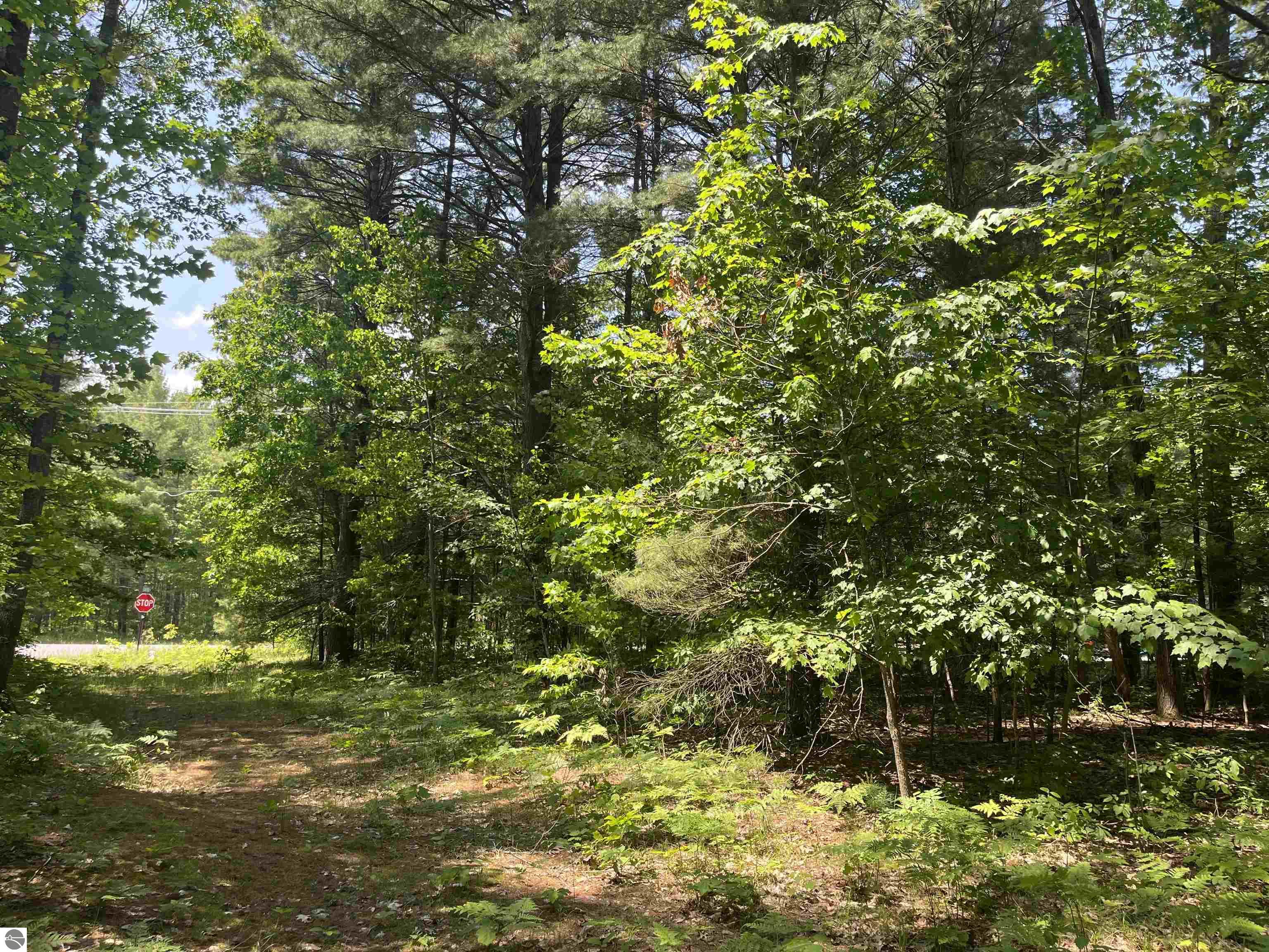 Cedar Hedge Tr