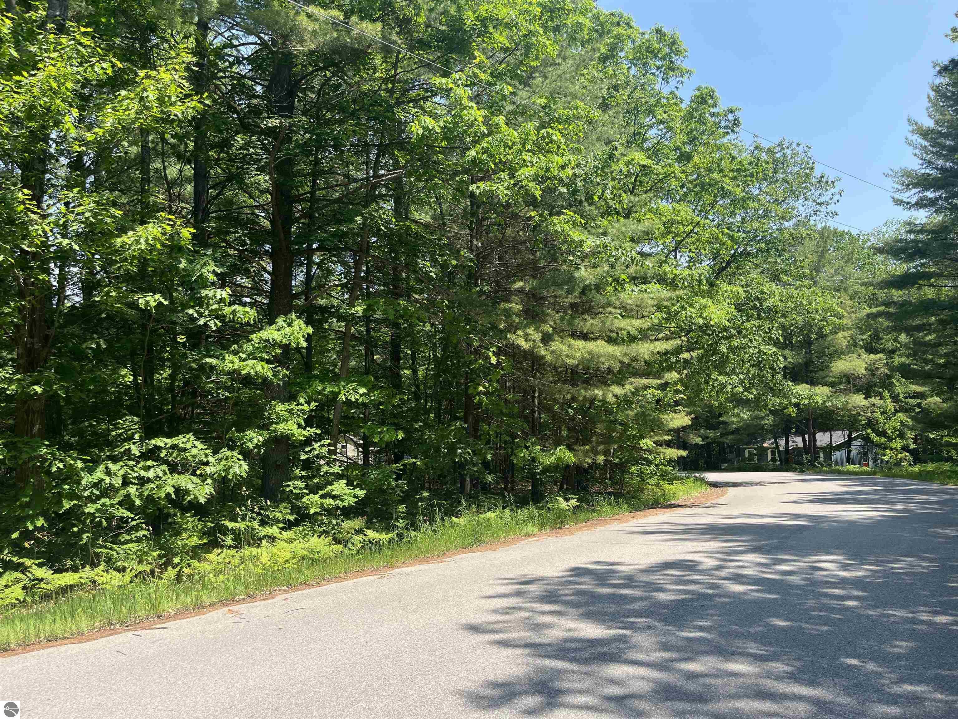 Cedar Hedge Tr