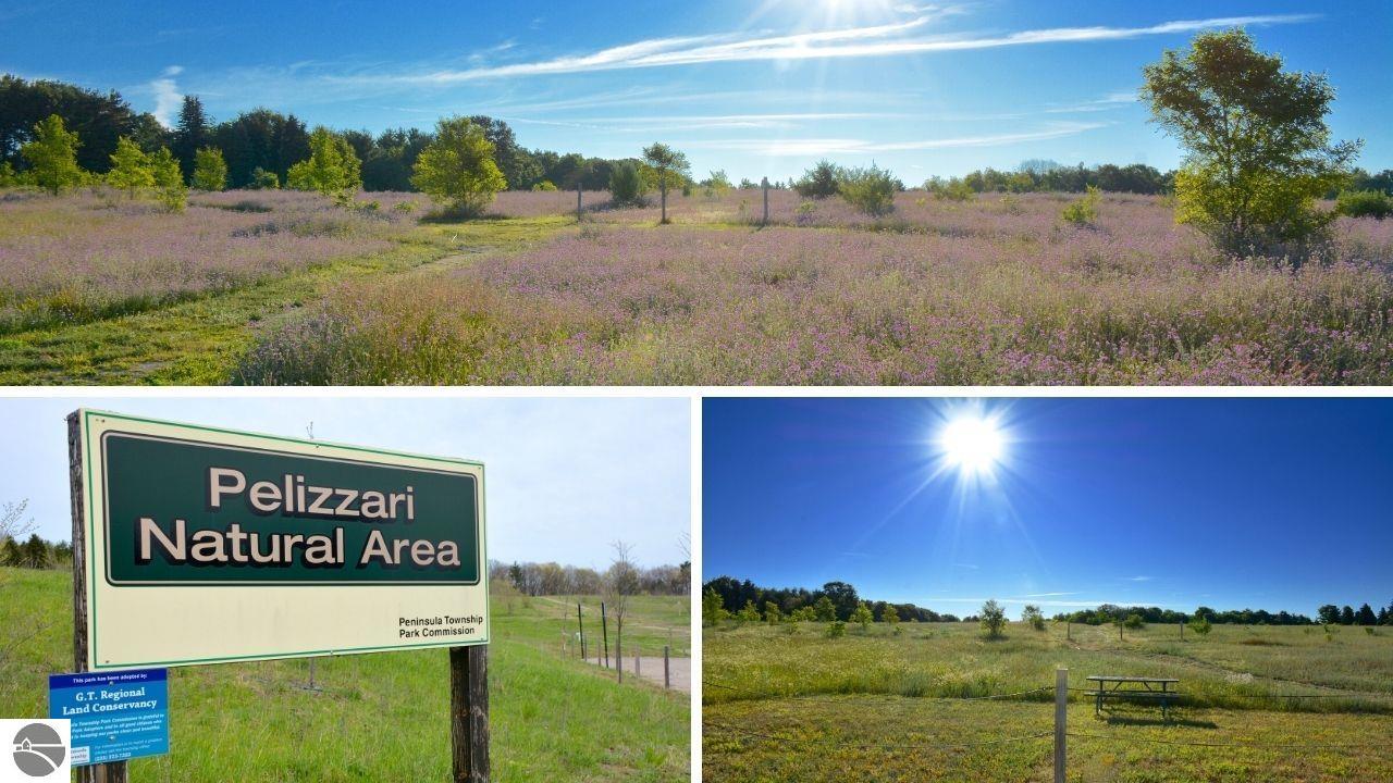 17390 Smokey Hollow Road