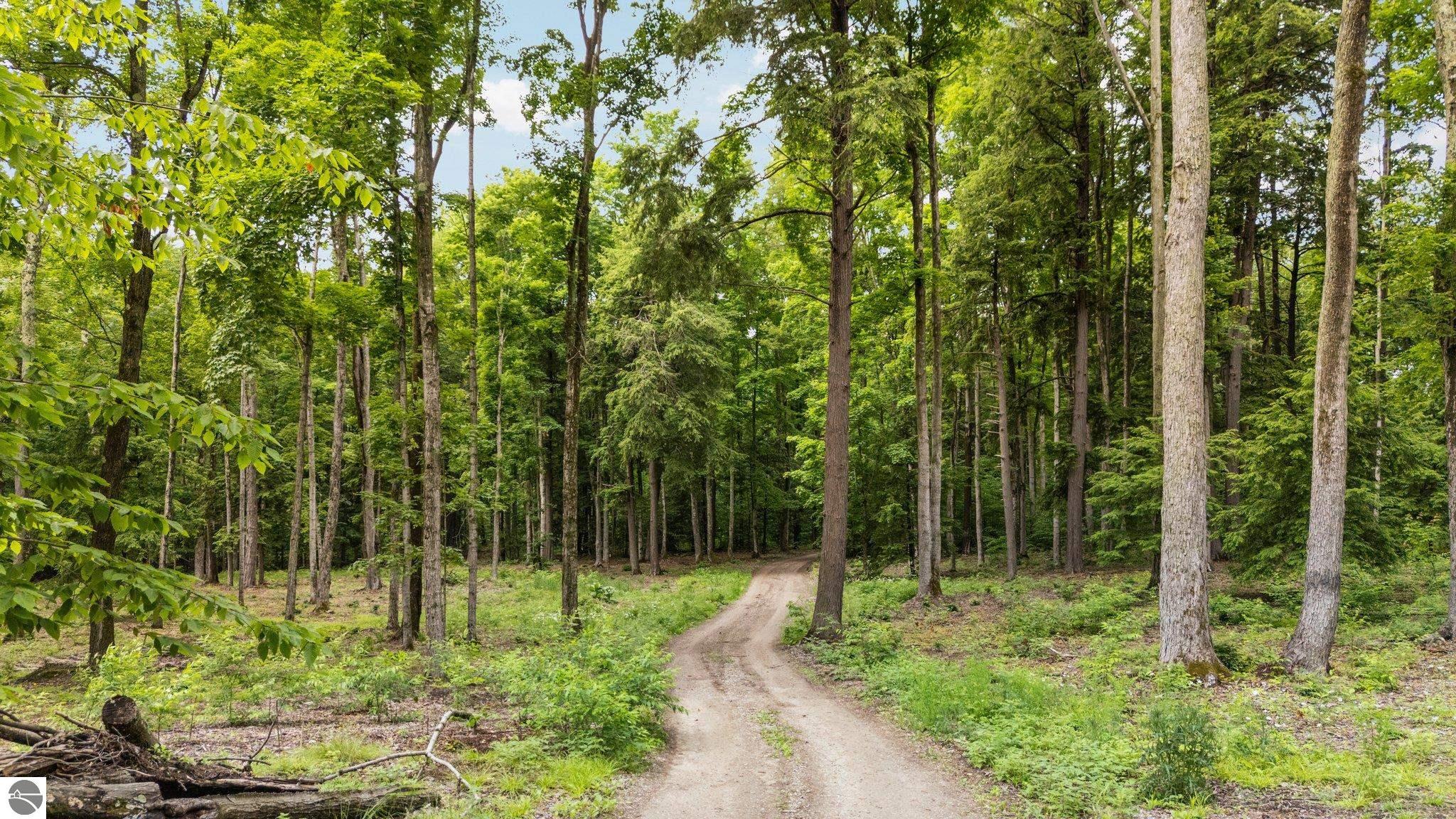 00 Woodland Trail