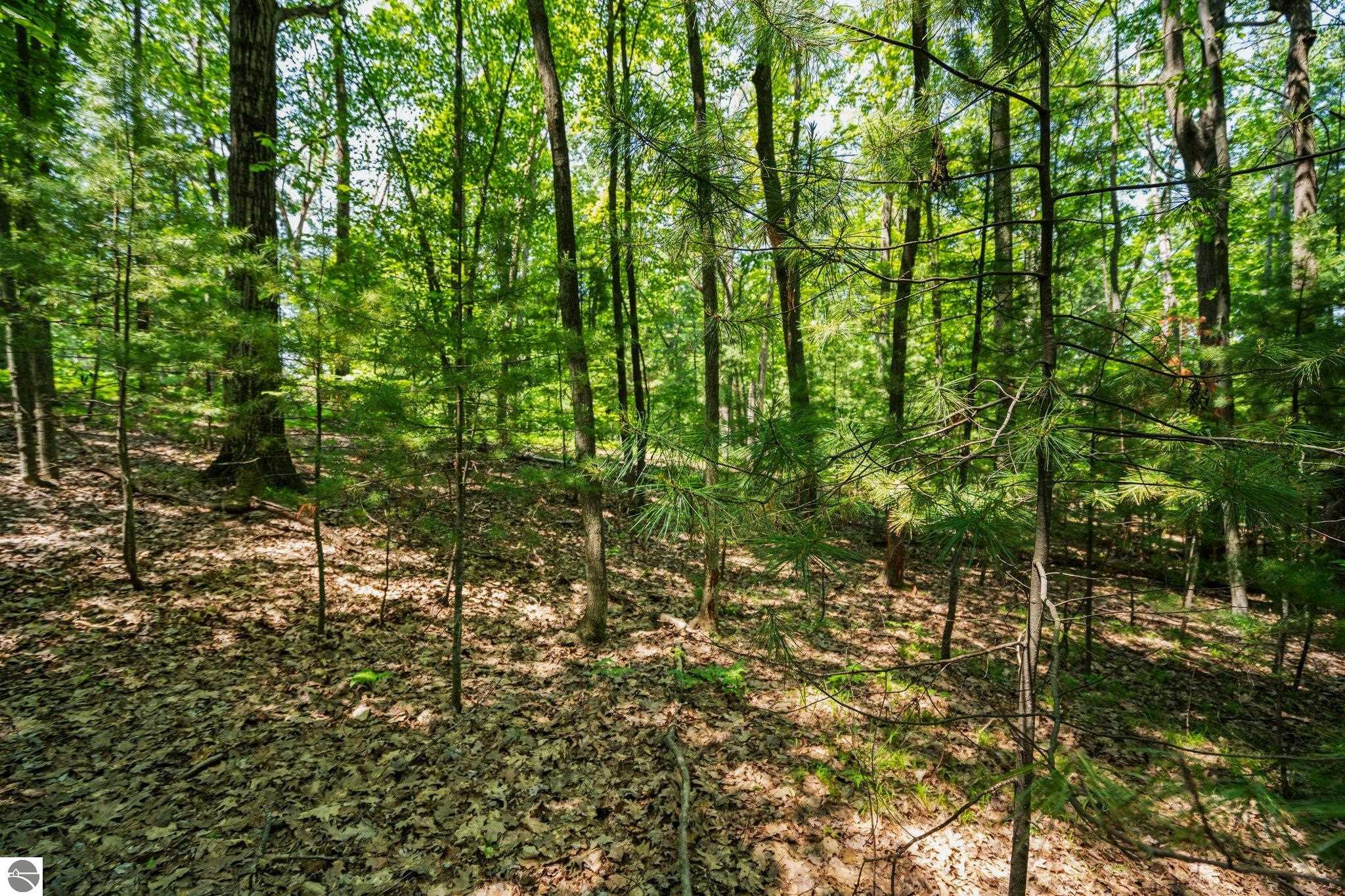 4513 Weathering Heights Road