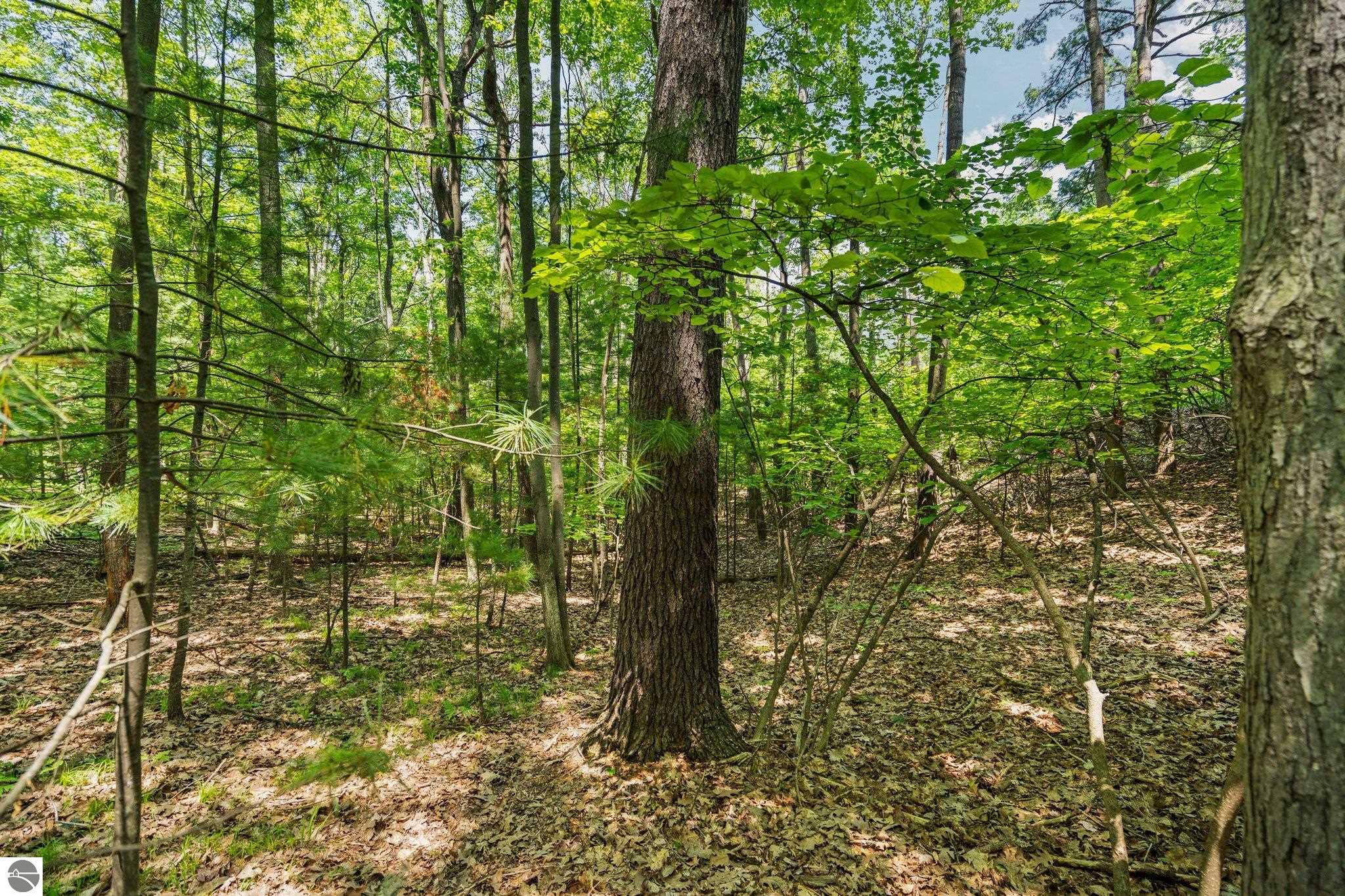 4513 Weathering Heights Road