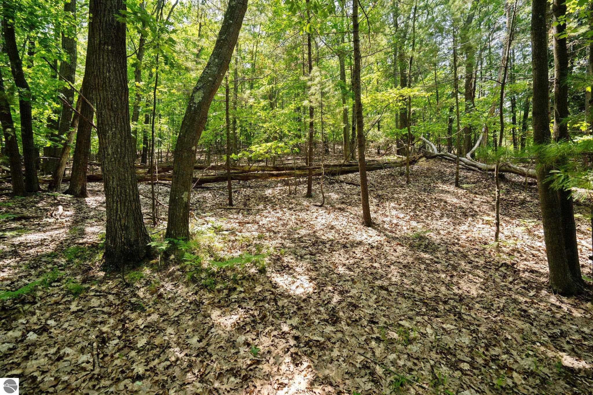 4513 Weathering Heights Road